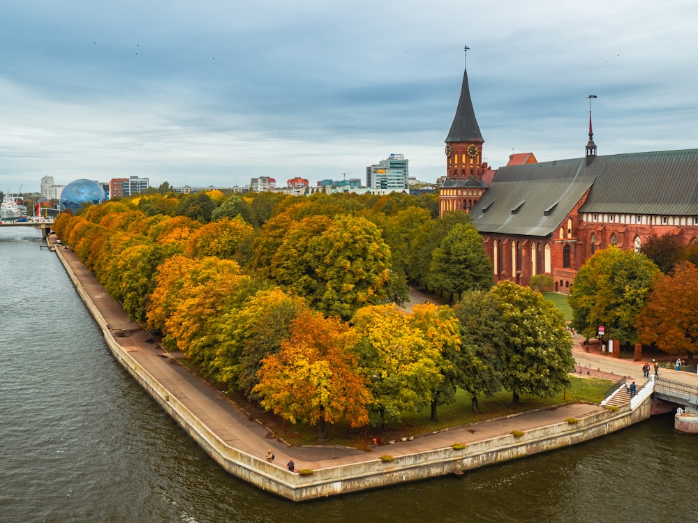 a large body of water surrounded by trees