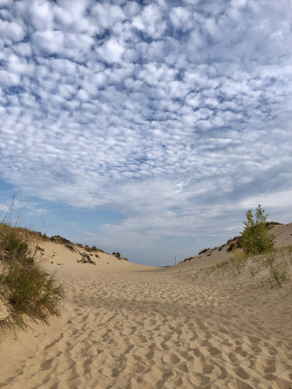 um caminho de areia que leva ao oceano sob um céu nublado