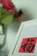 A close-up of a vibrant traditional Chinese painting with intricate brush strokes.