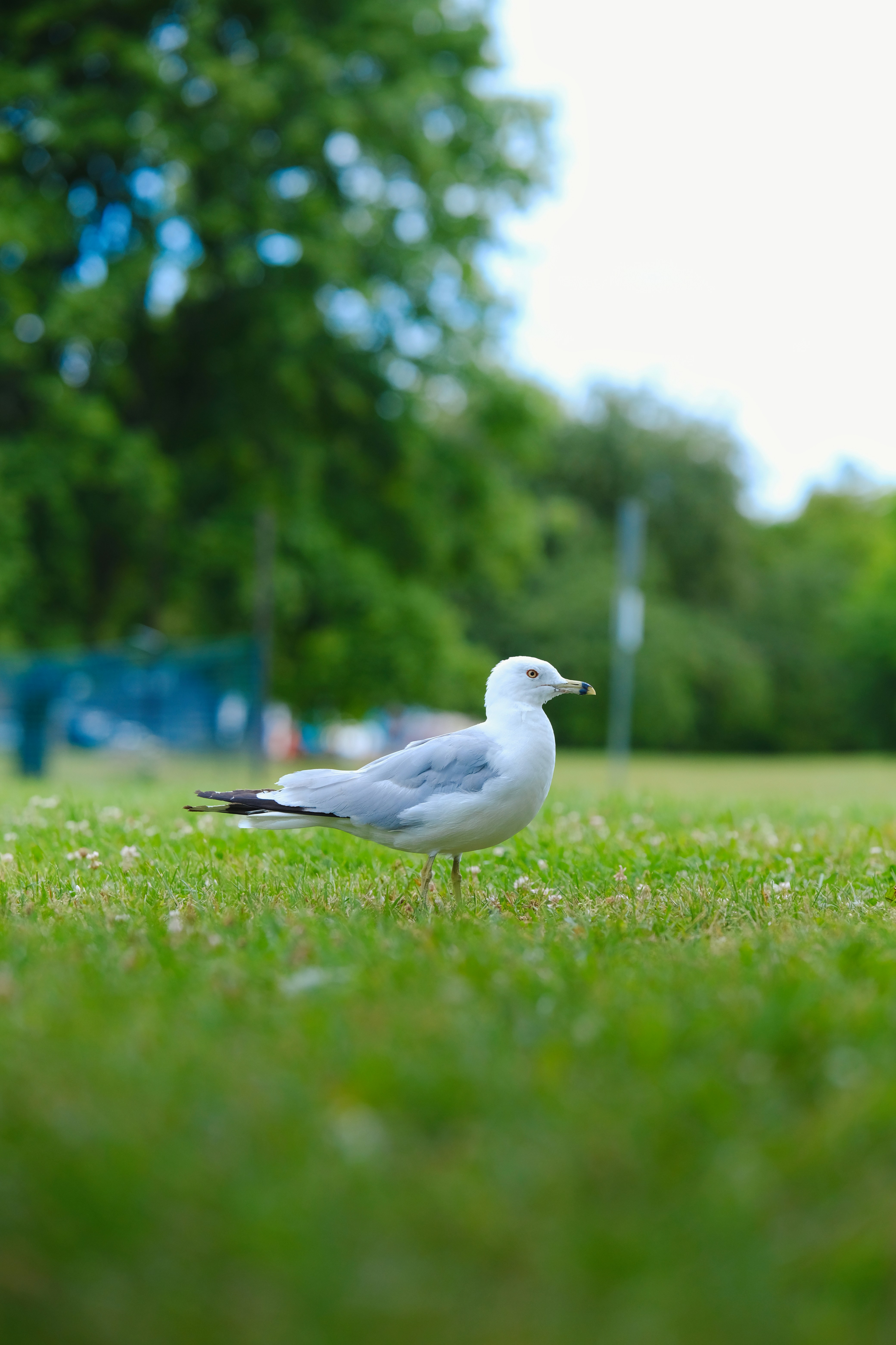 Photo by surjasendas