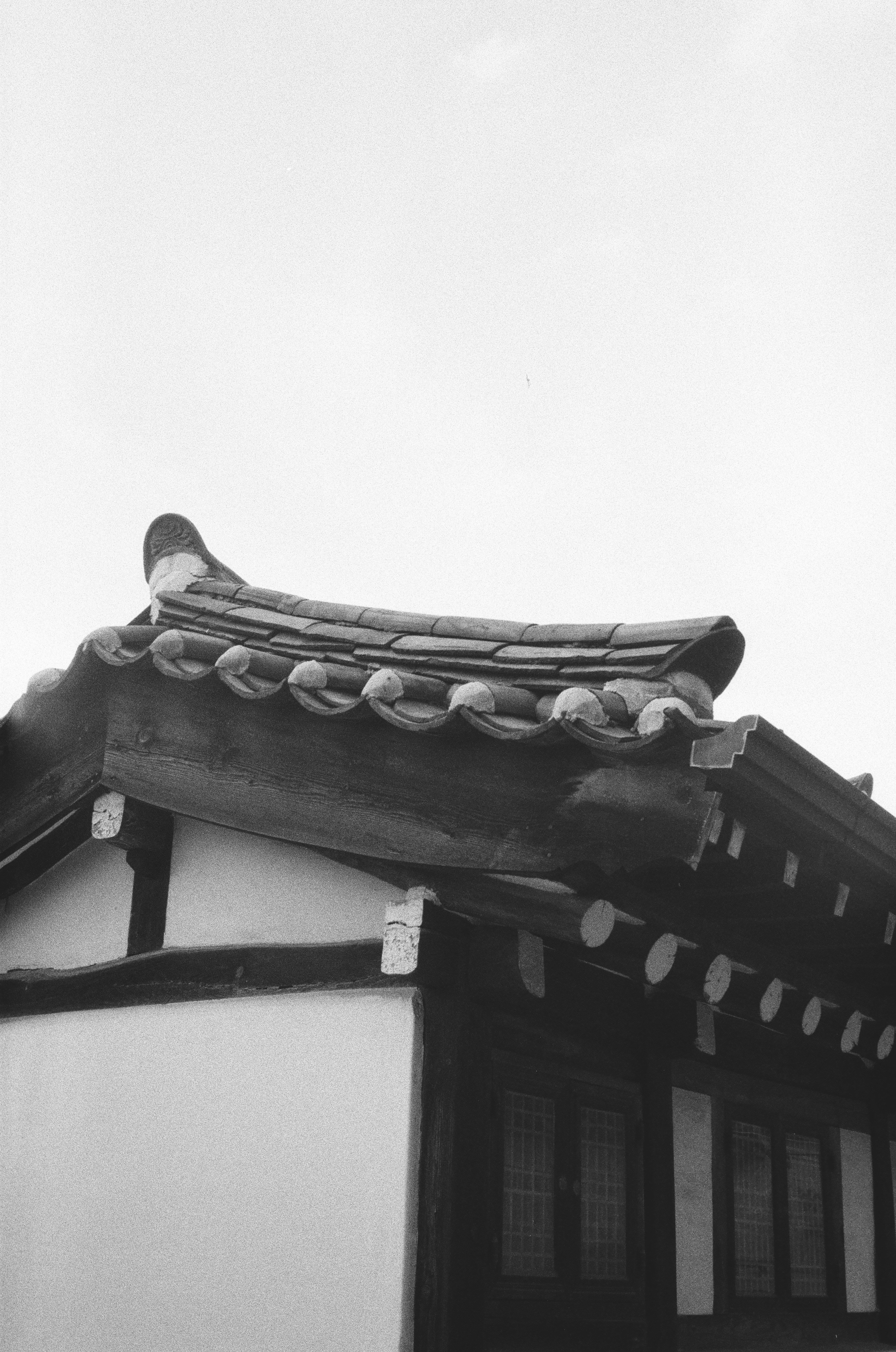 Photo by flowersforpete