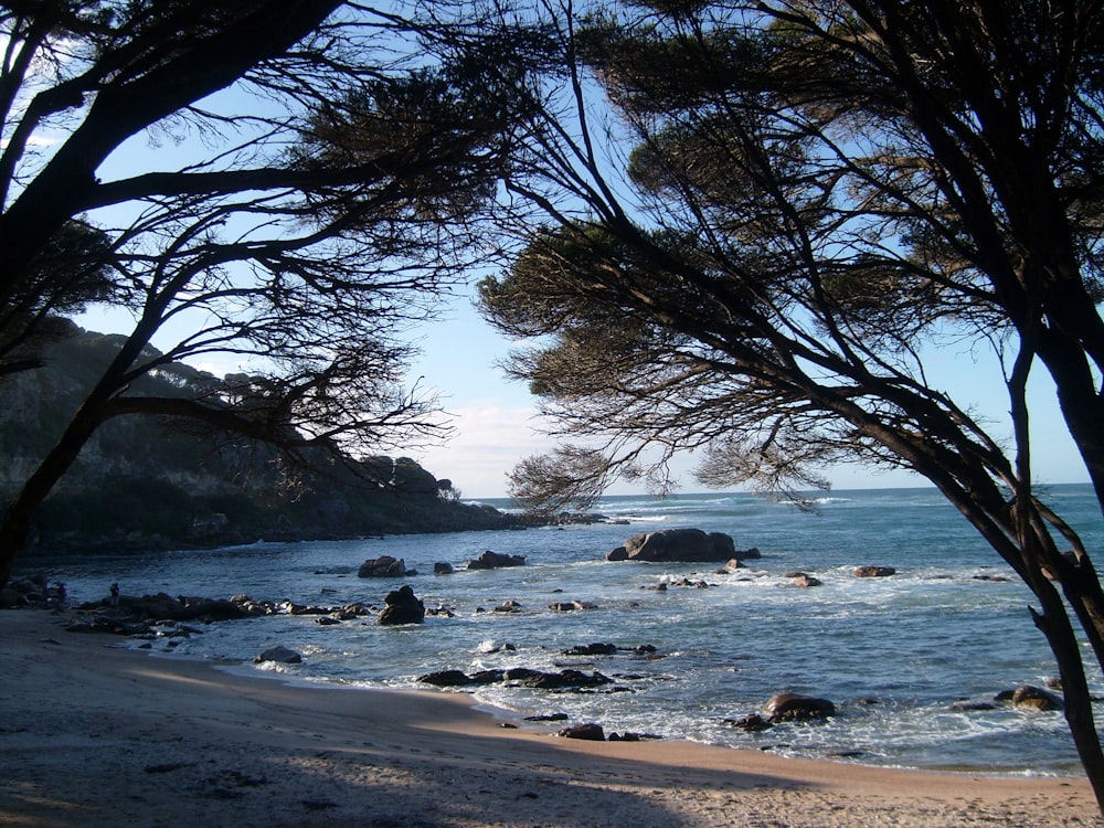 a view of the ocean from the shore of a beach