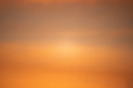 A calm and inviting therapy space with warm marsala and rosê tones, symbolizing personal growth.