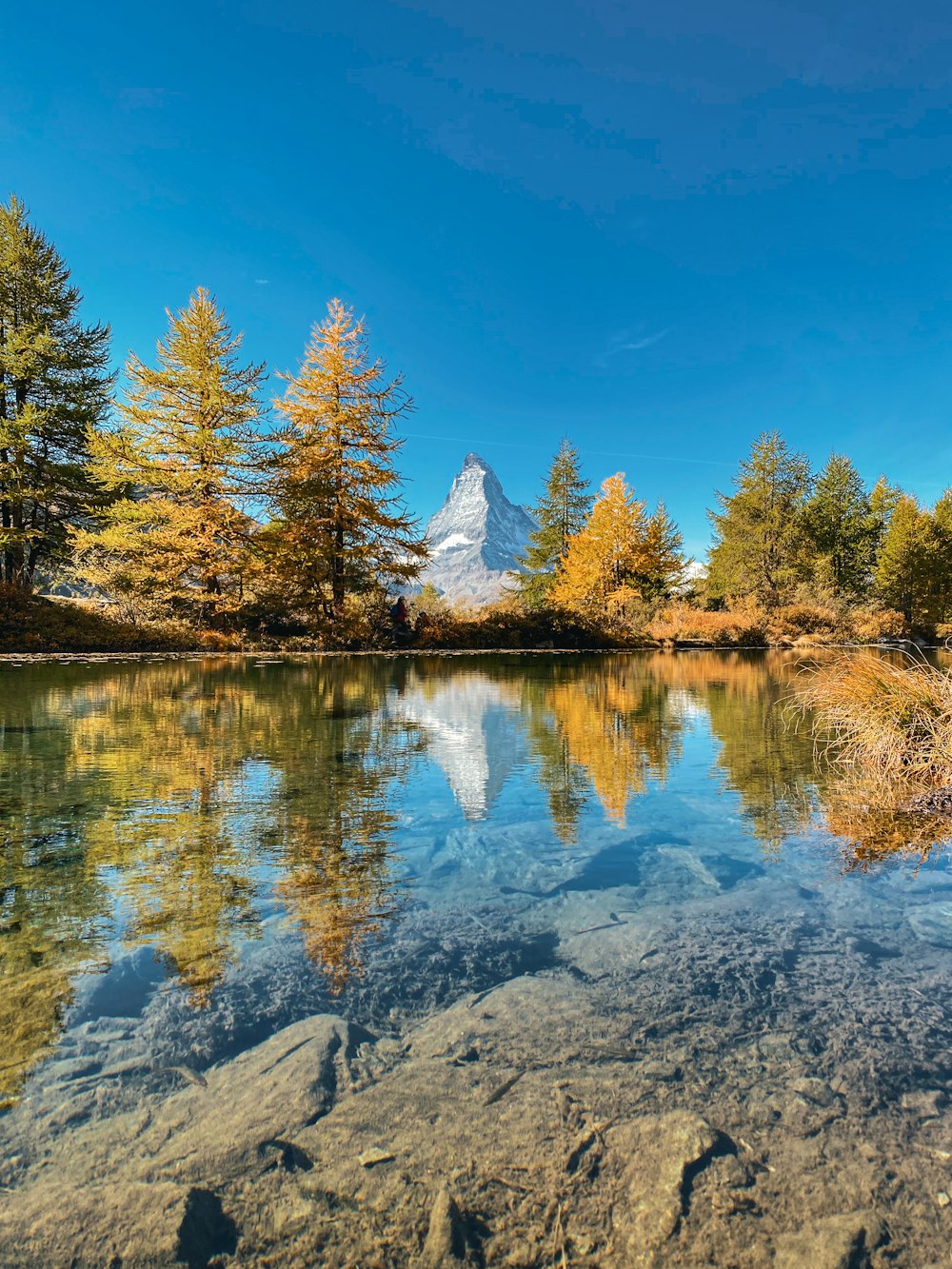 a lake surrounded by trees and a mountain in the background