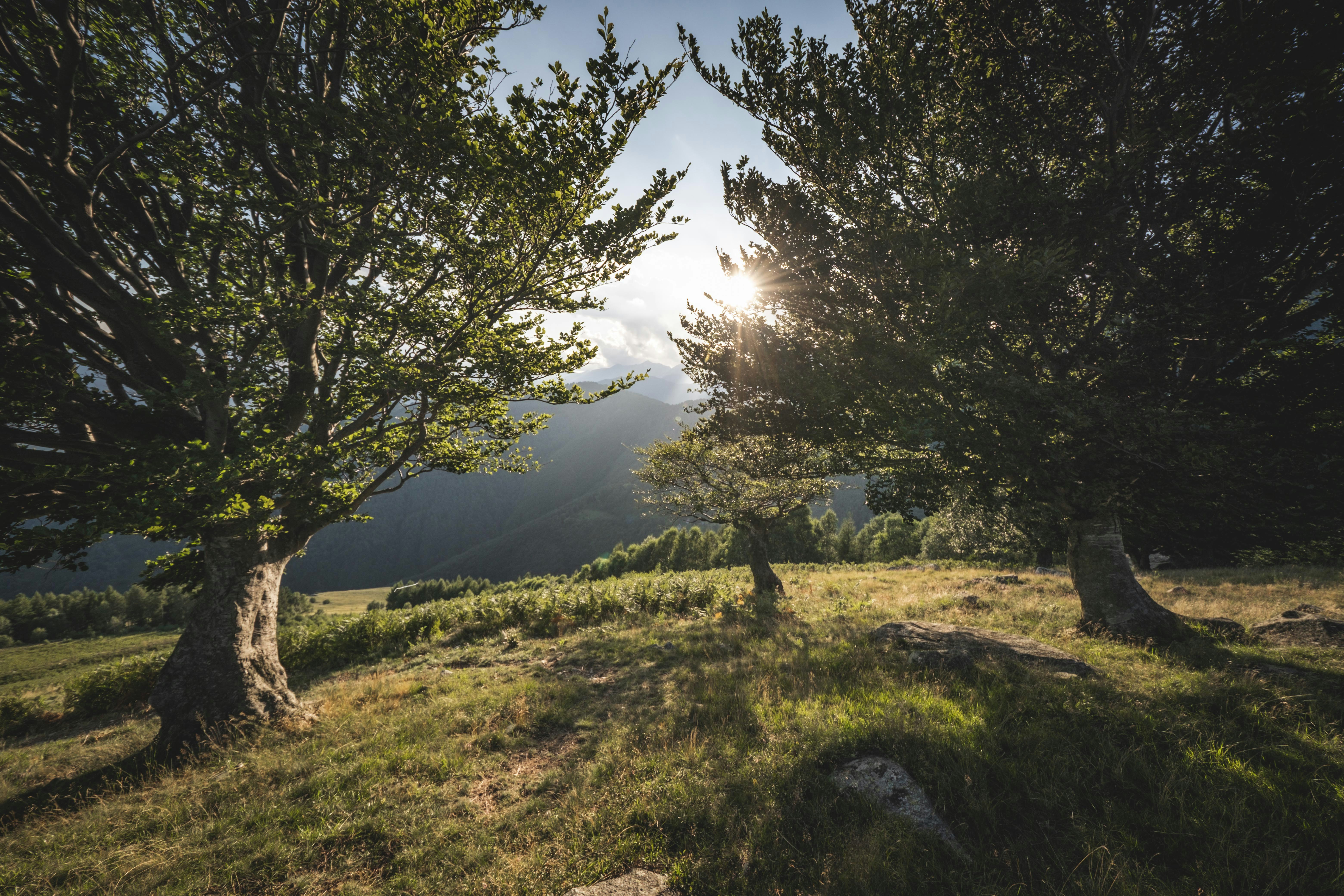 Photo by francesco_ungaro