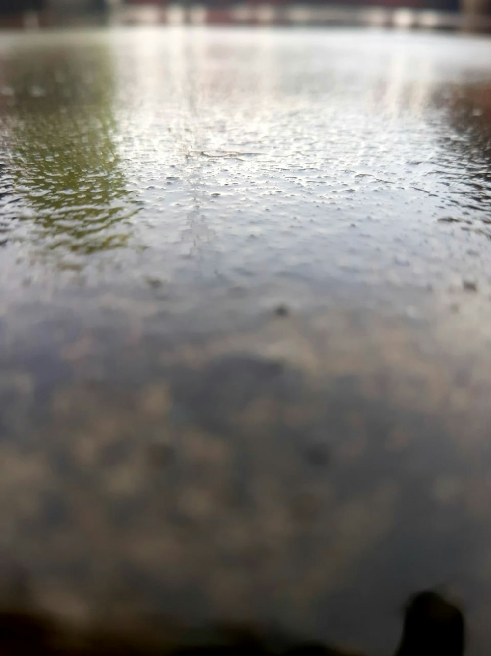a puddle of water with a building in the background