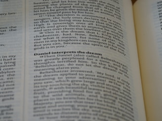 A close-up of an open book, with emphasis on a section discussing Daniel interpreting a dream. The text is in English and the page appears slightly curved.