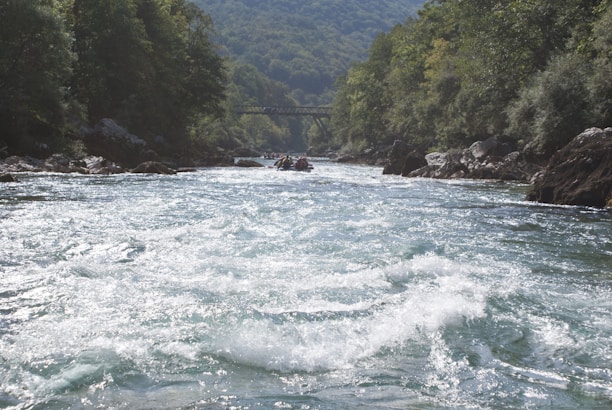 A fast-flowing river with white water rapids is surrounded by lush green forests and rocky banks. In the distance, a group of people can be seen rafting down the river. A bridge spans the river further upstream, against a backdrop of wooded hills.