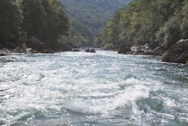 A fast-flowing river with white water rapids is surrounded by lush green forests and rocky banks. In the distance, a group of people can be seen rafting down the river. A bridge spans the river further upstream, against a backdrop of wooded hills.