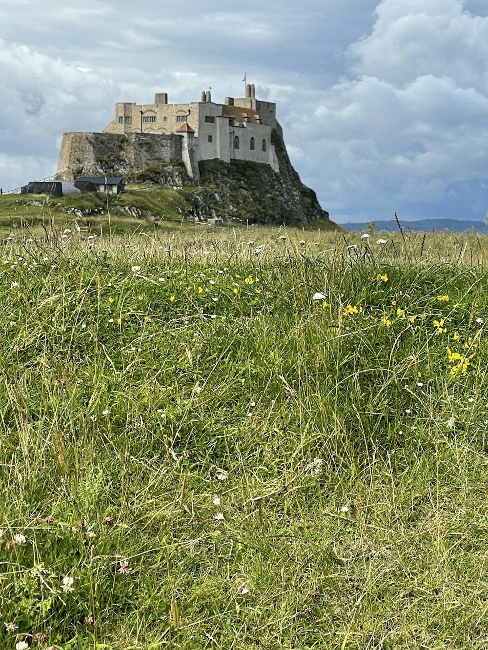 un mouton debout dans un champ avec un château en arrière-plan