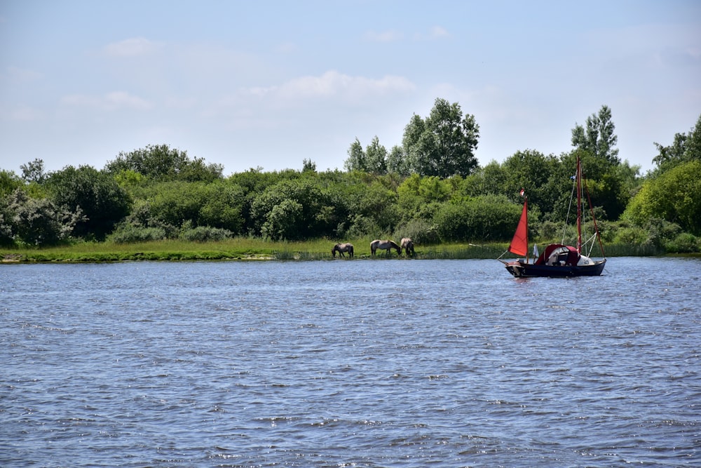 un pequeño bote con una vela roja en un lago