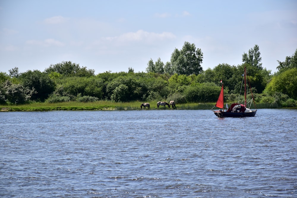 ein kleines Boot mit rotem Segel auf einem See