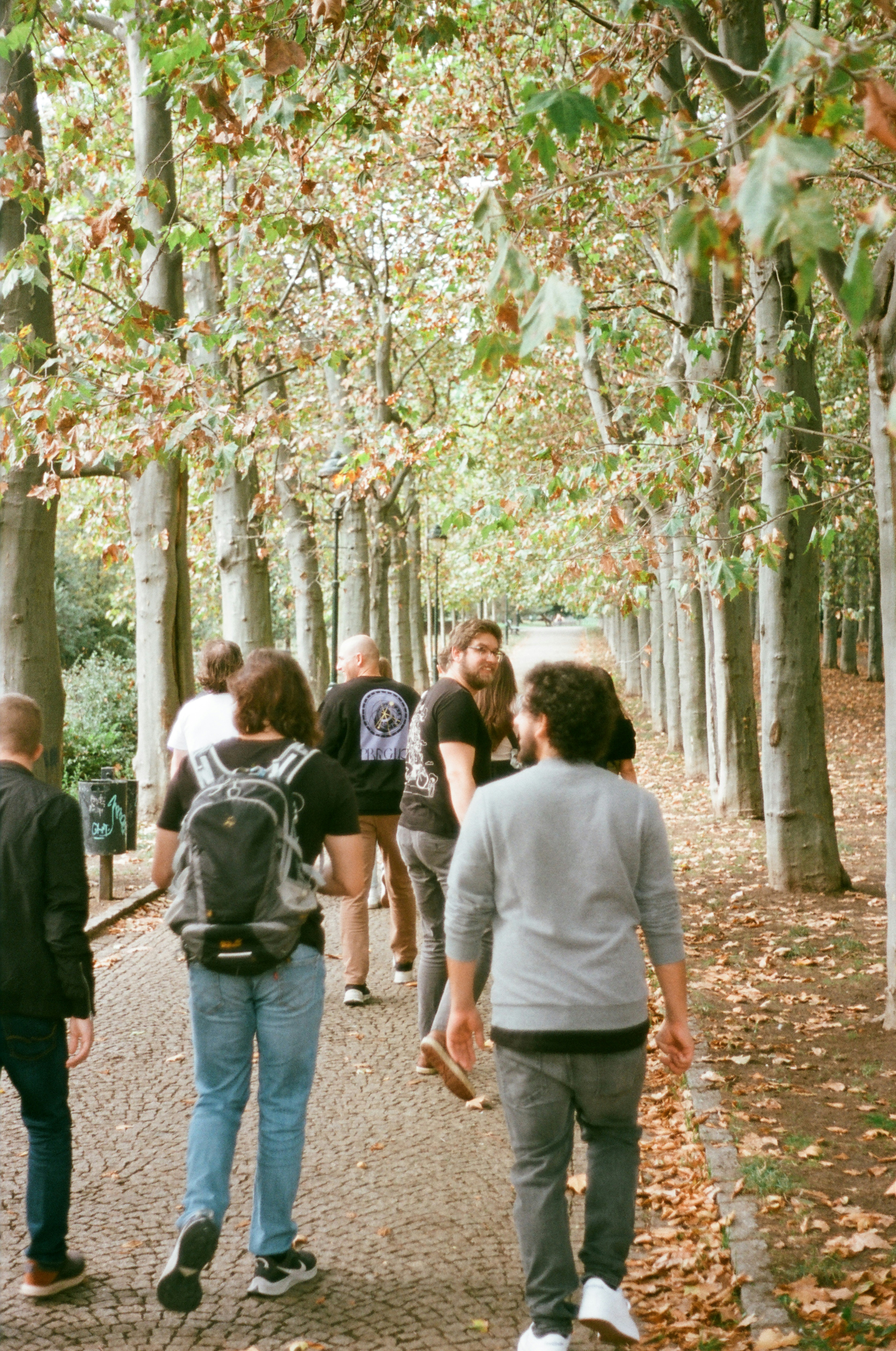 a group of people walking down a tree lined path