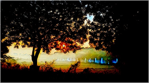 A peaceful natural landscape with subtle energy lines illustrated around trees