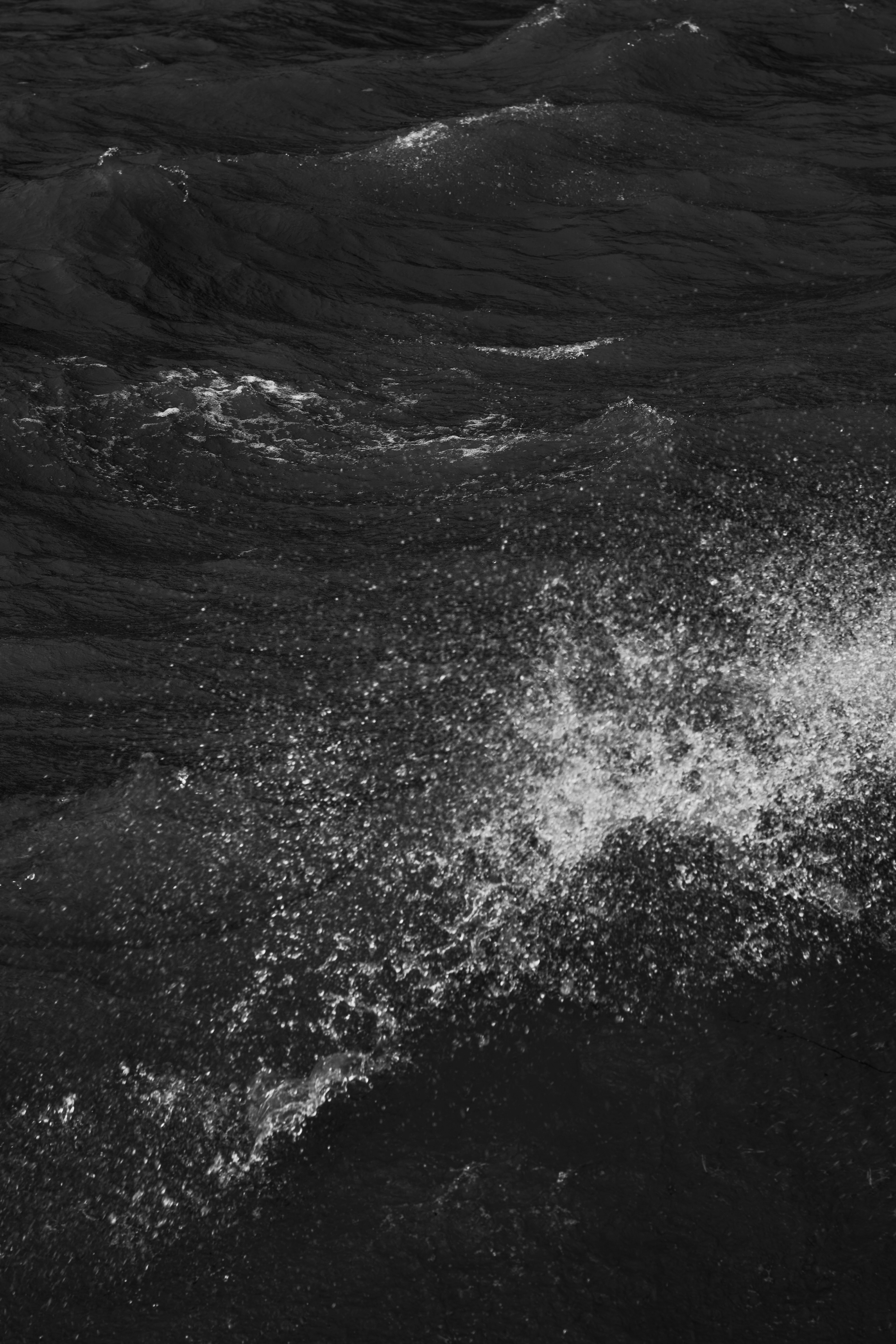 Photo by miguel_ind0