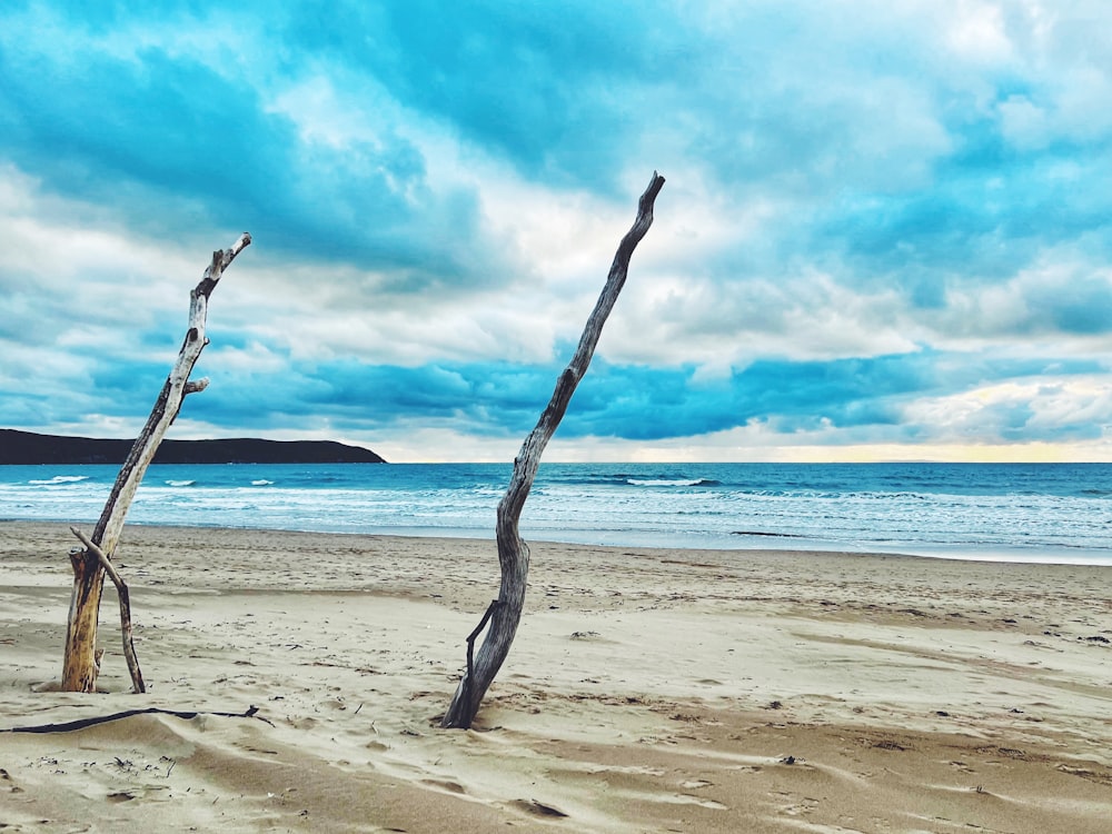 a couple of wooden poles sitting on top of a sandy beach