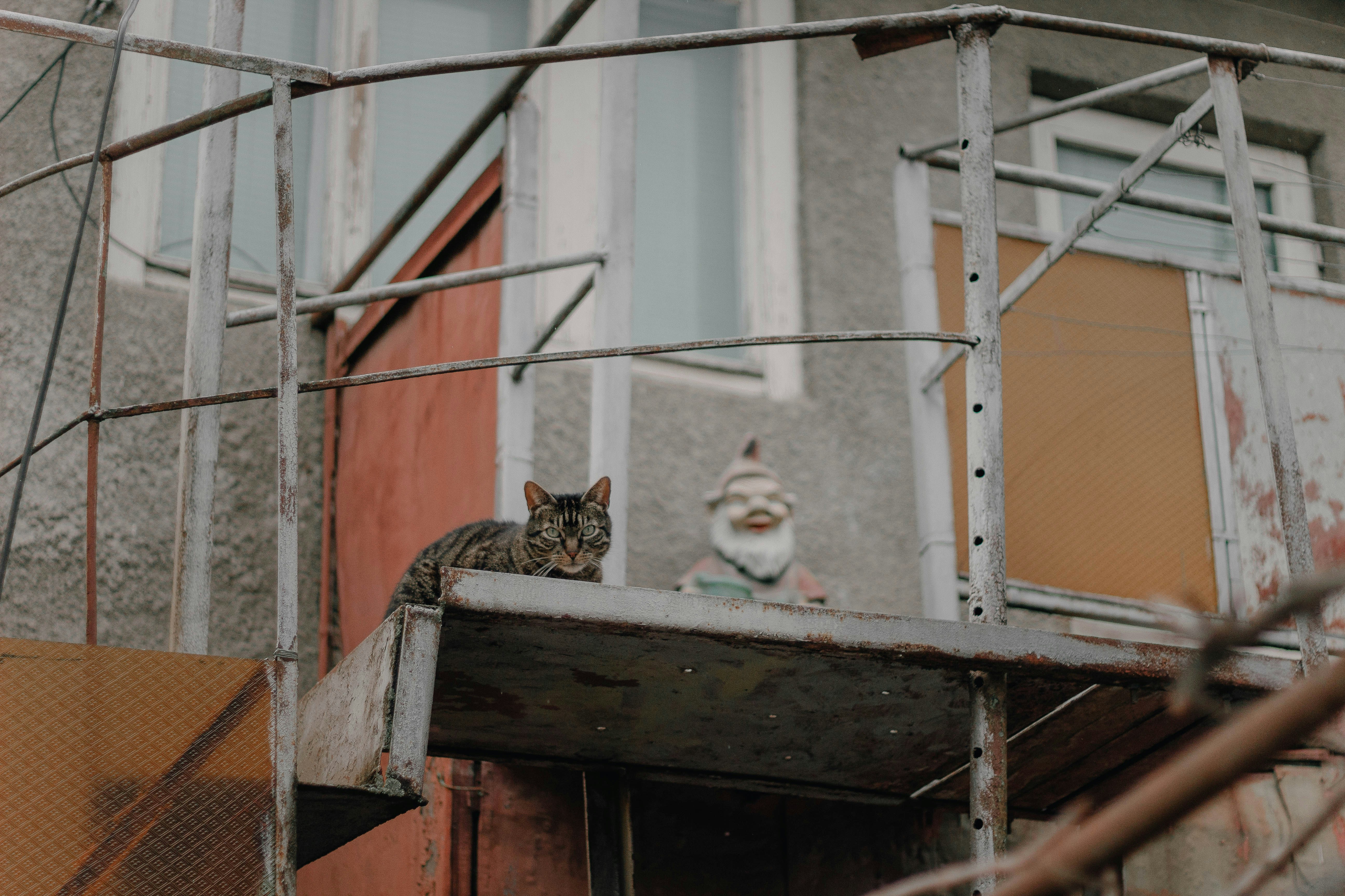 a cat sitting on top of a metal railing