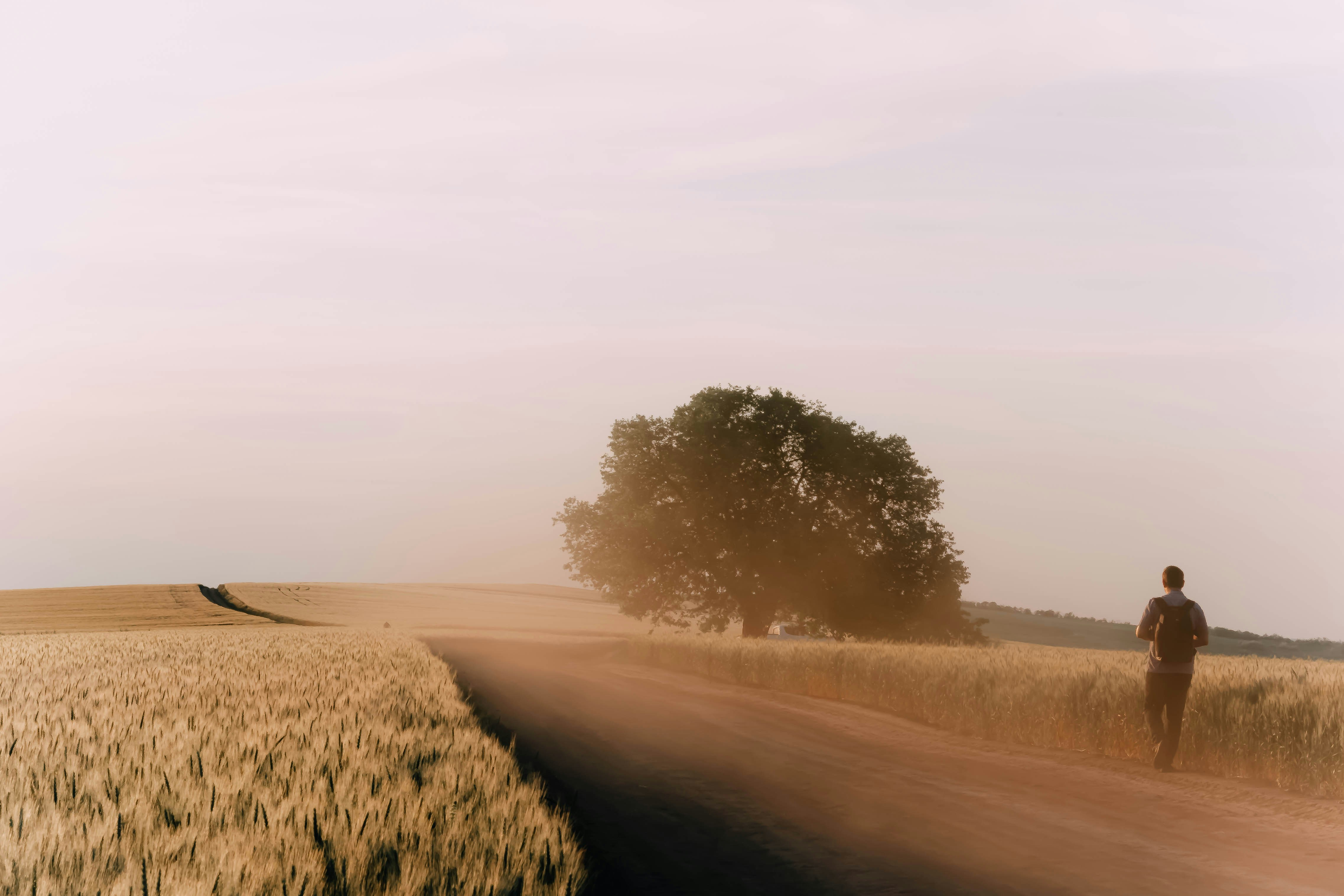 Photo by mari_oleacu