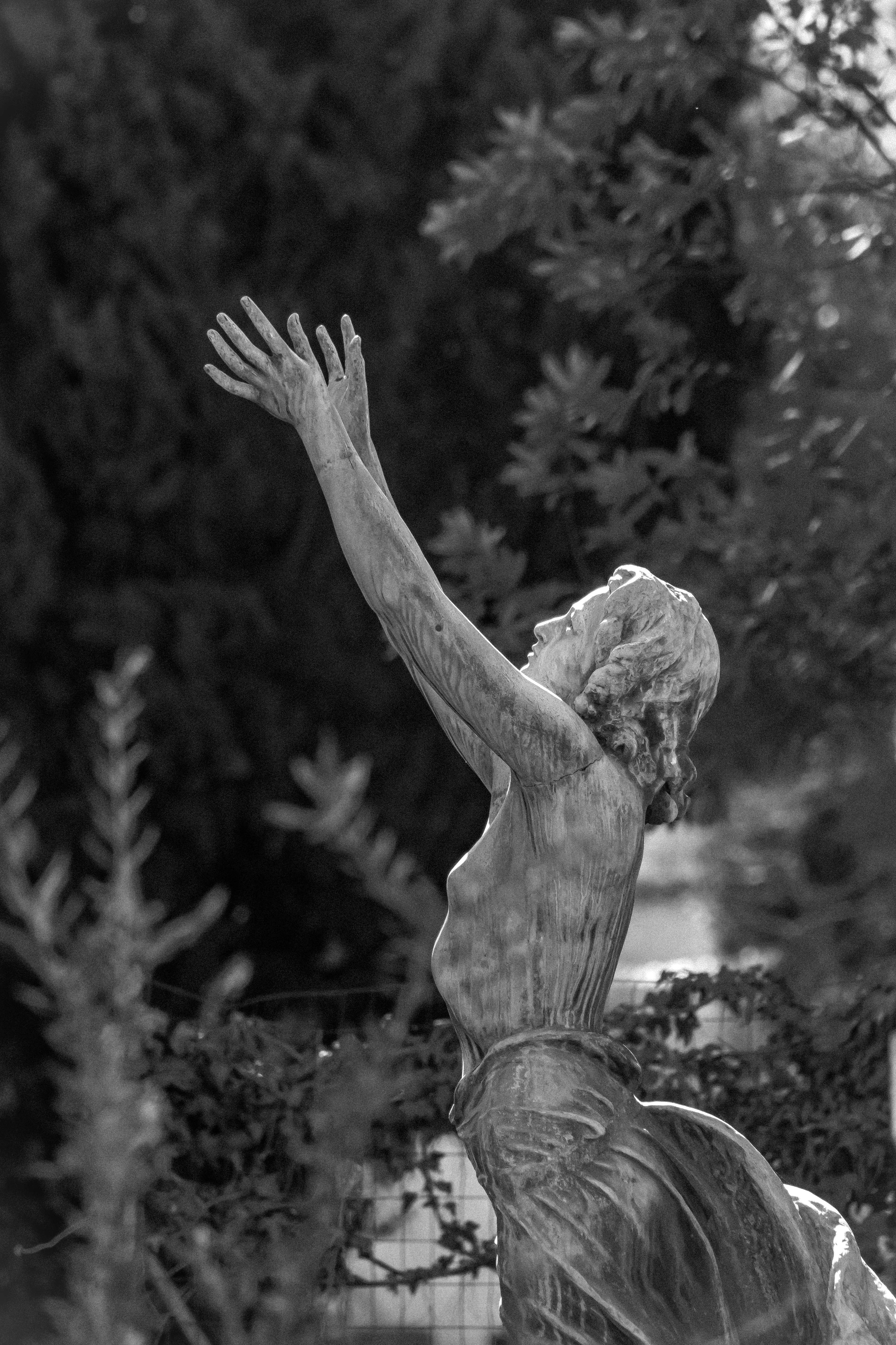 Photo by mari_oleacu