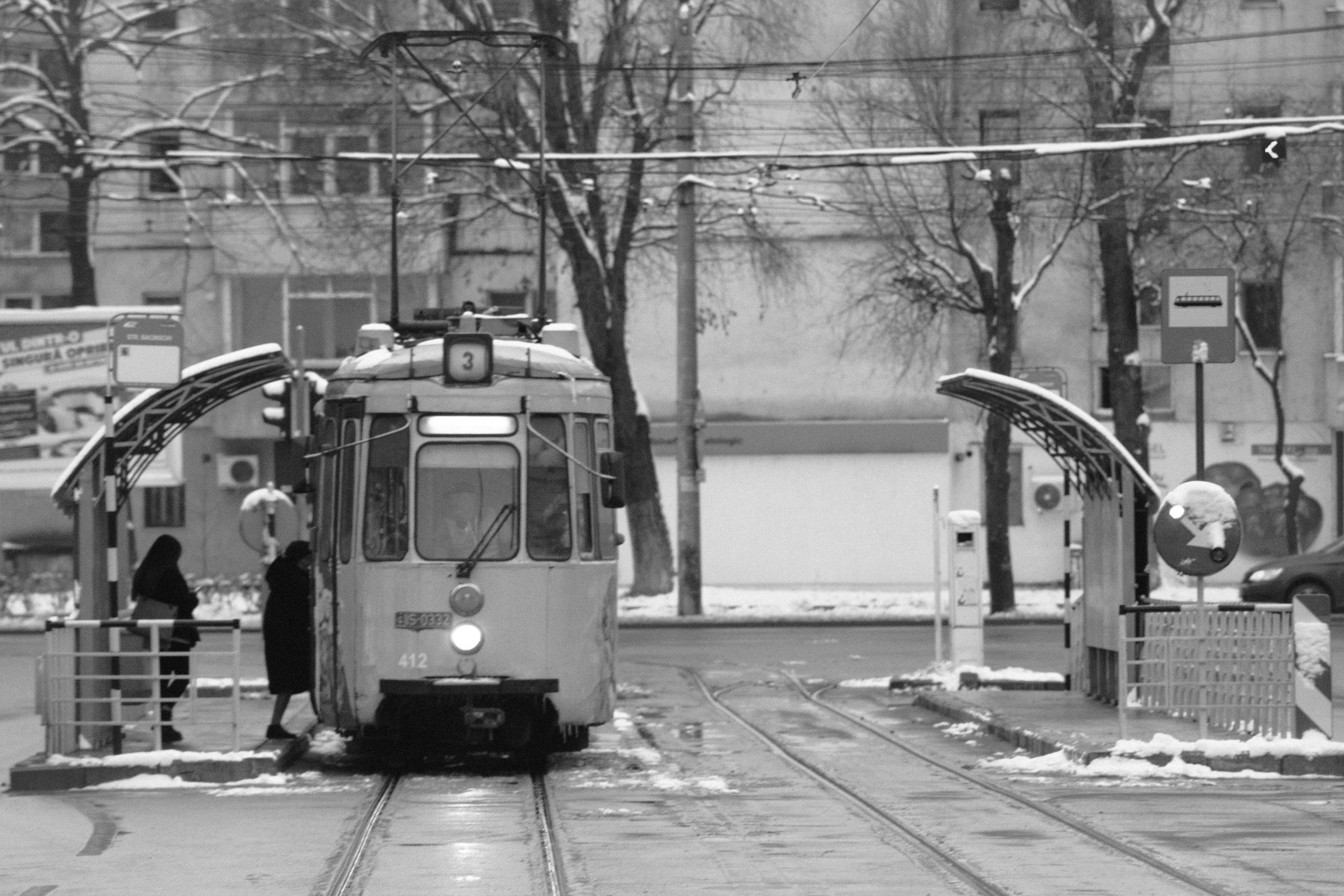 Photo by mari_oleacu