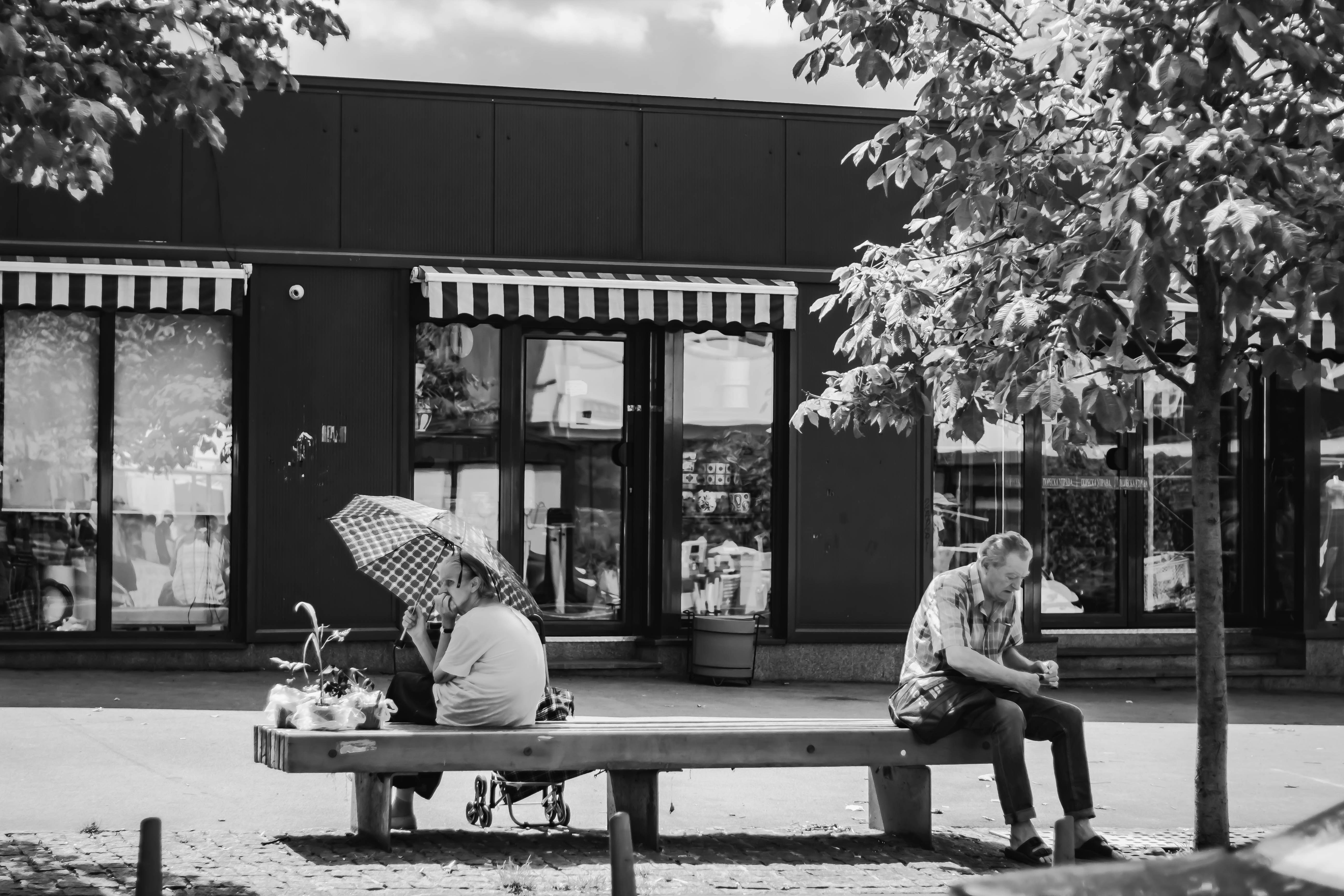 Photo by mari_oleacu