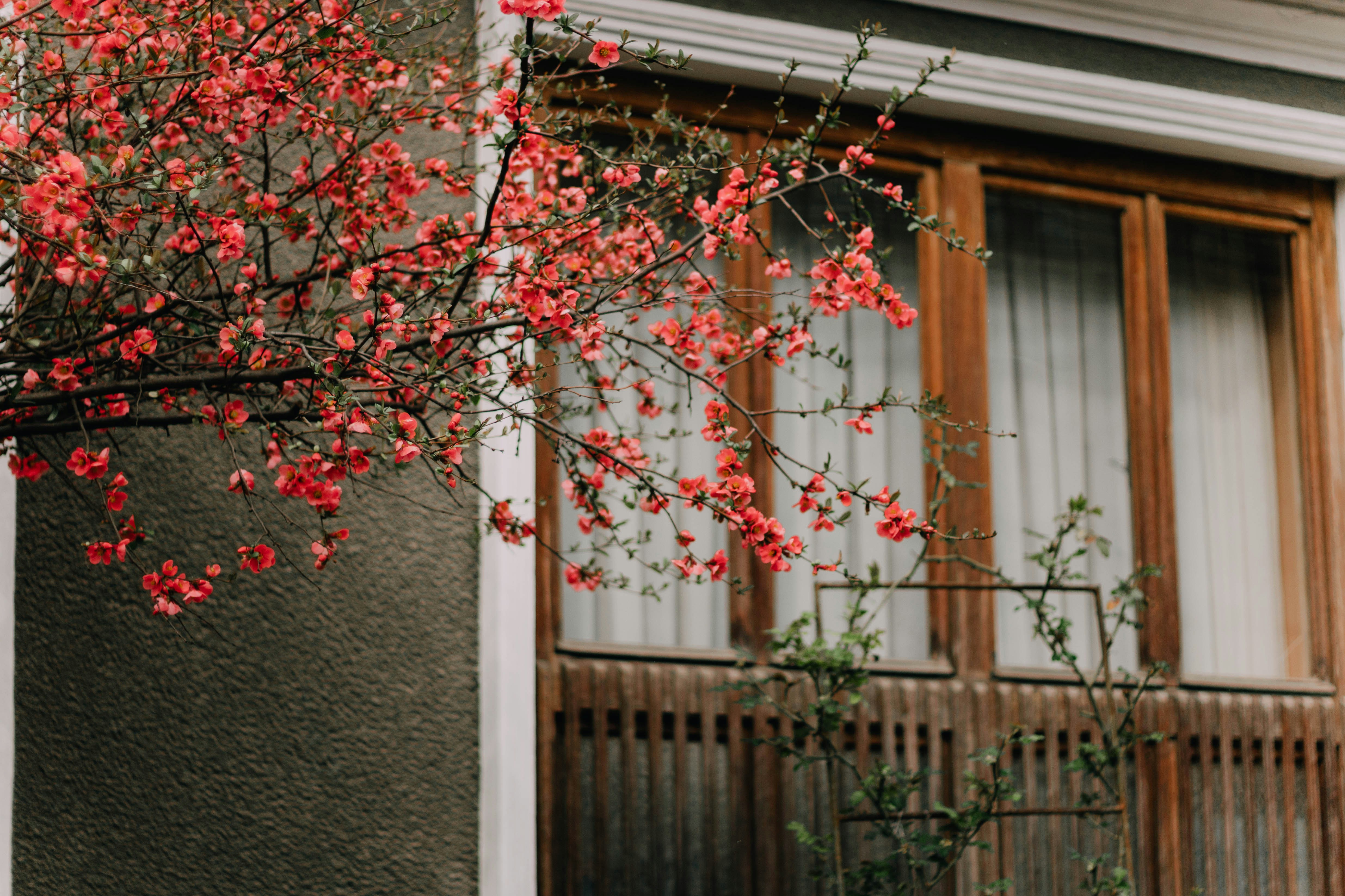 Photo by mari_oleacu