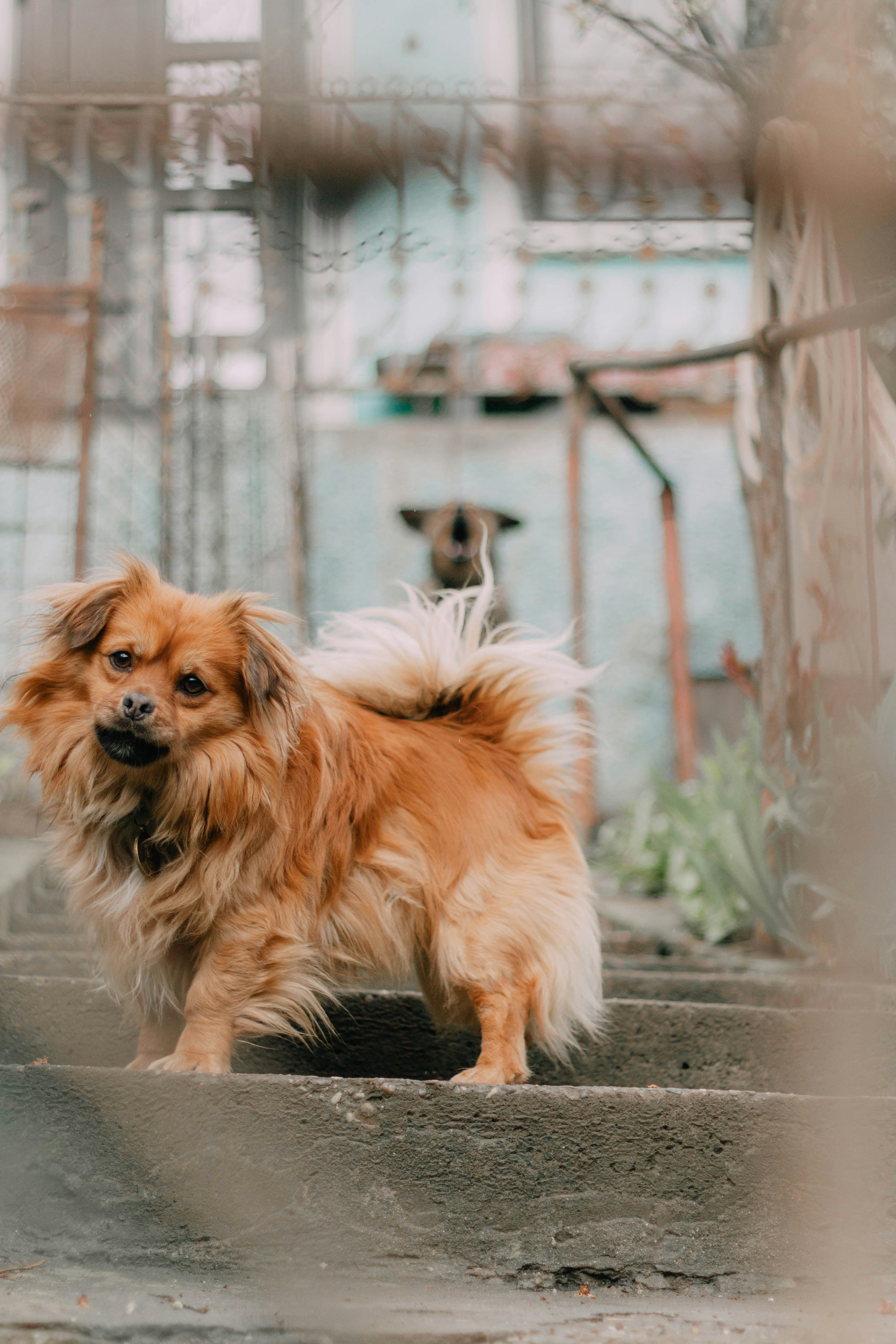 Photo by mari_oleacu