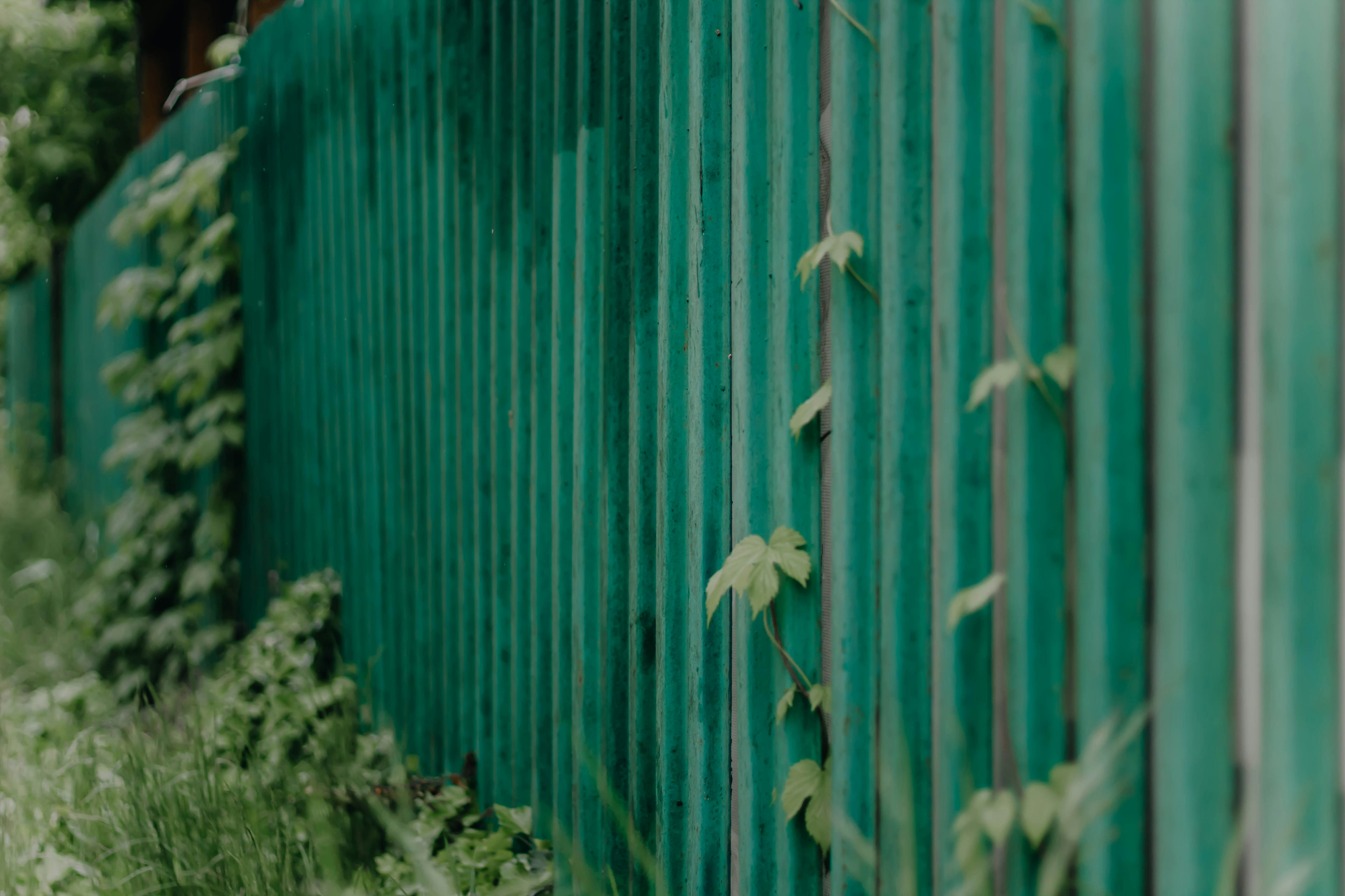 Photo by mari_oleacu