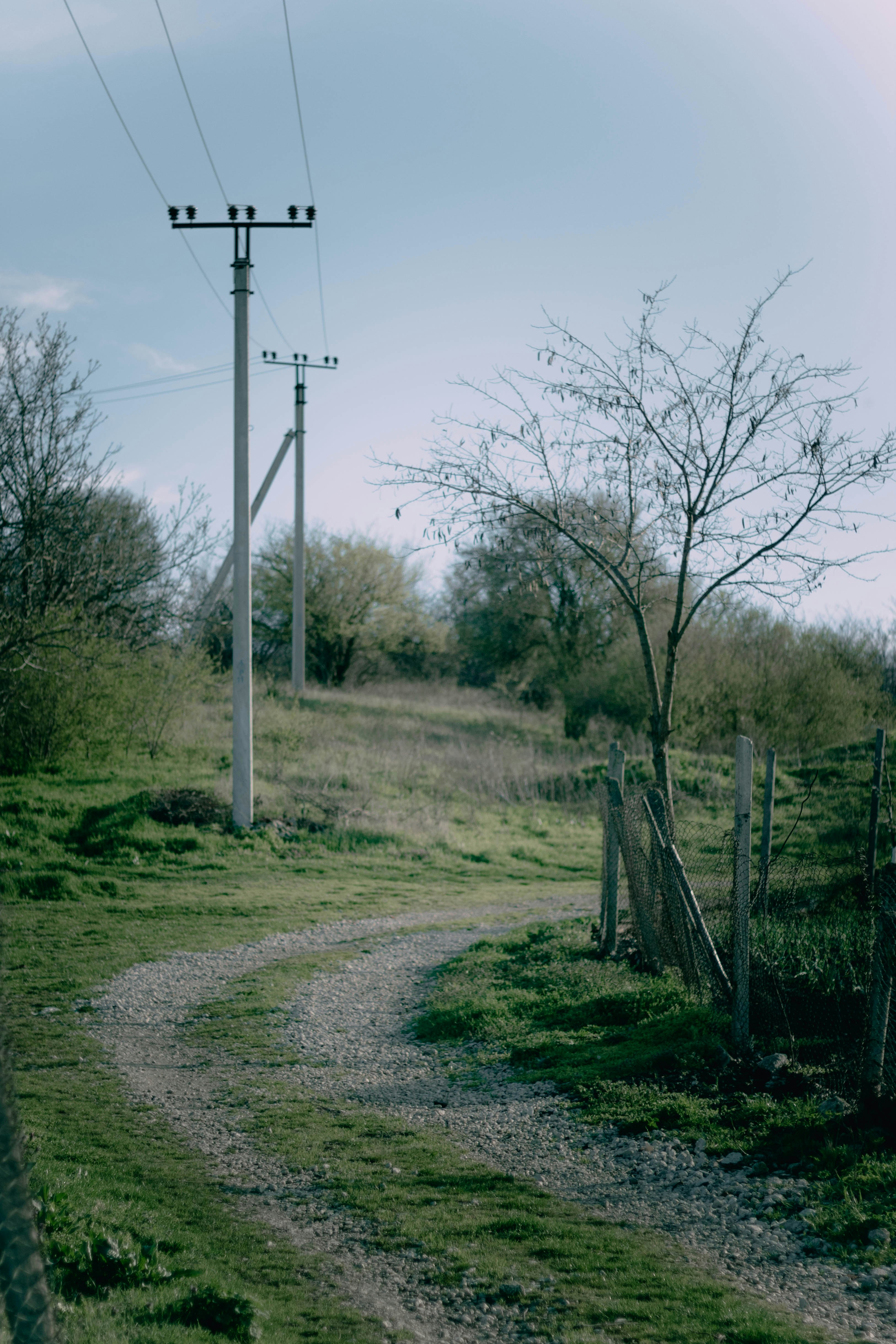 Photo by mari_oleacu