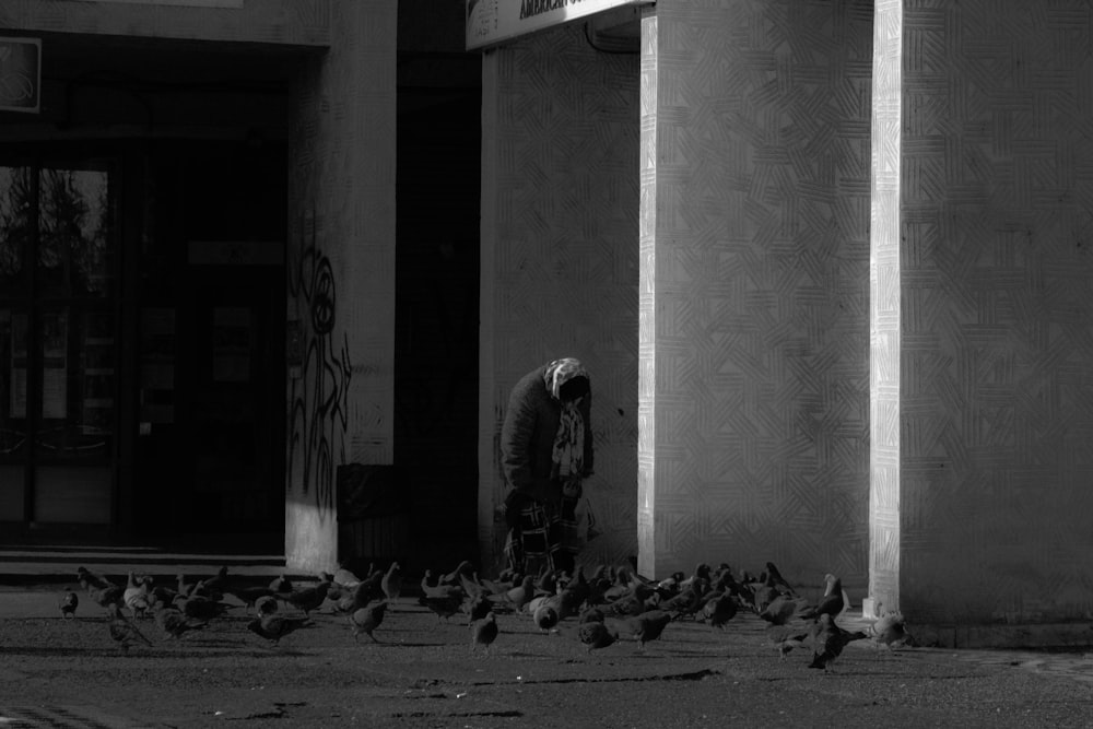 a flock of birds standing in front of a building