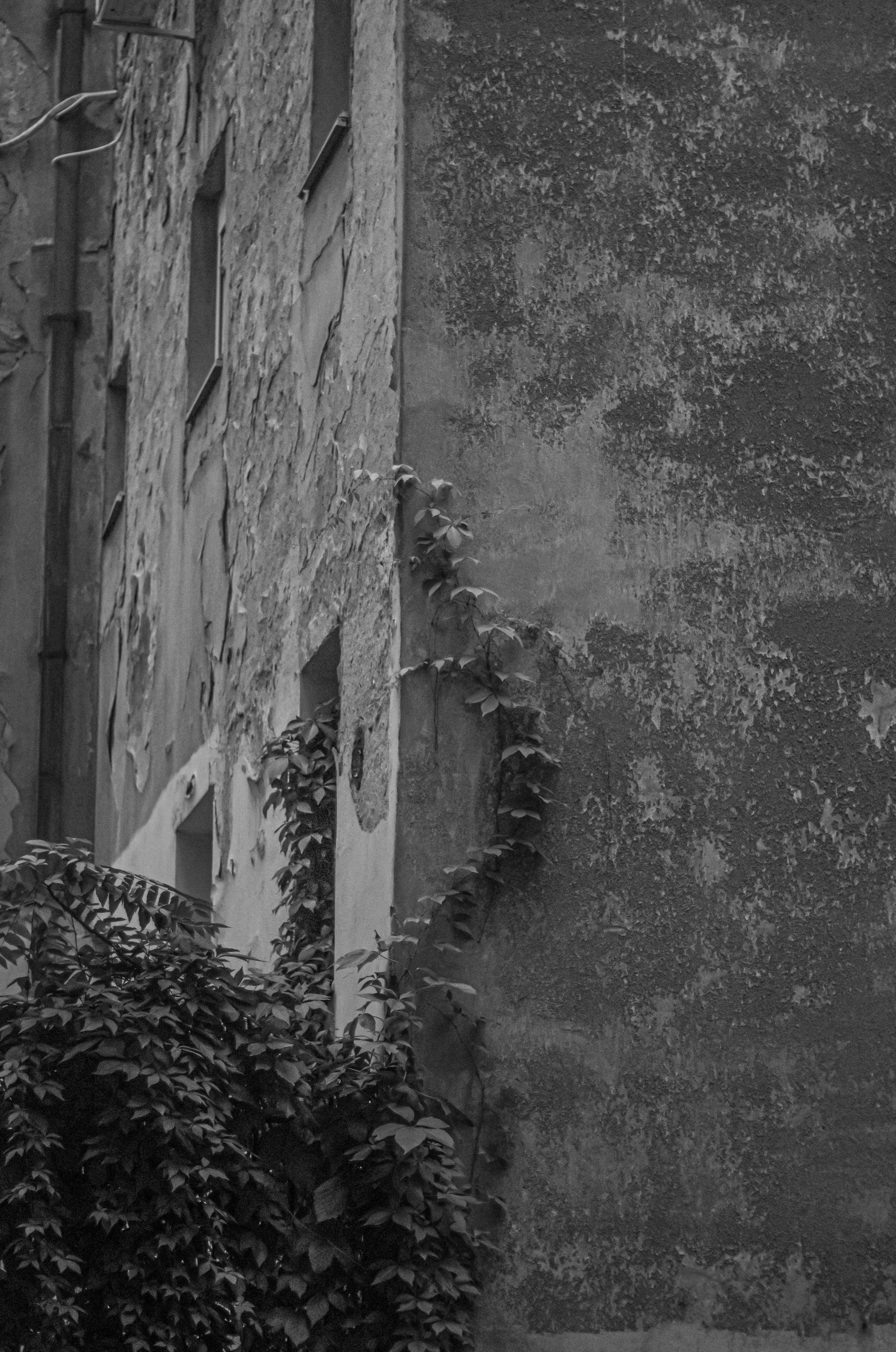 Photo by mari_oleacu