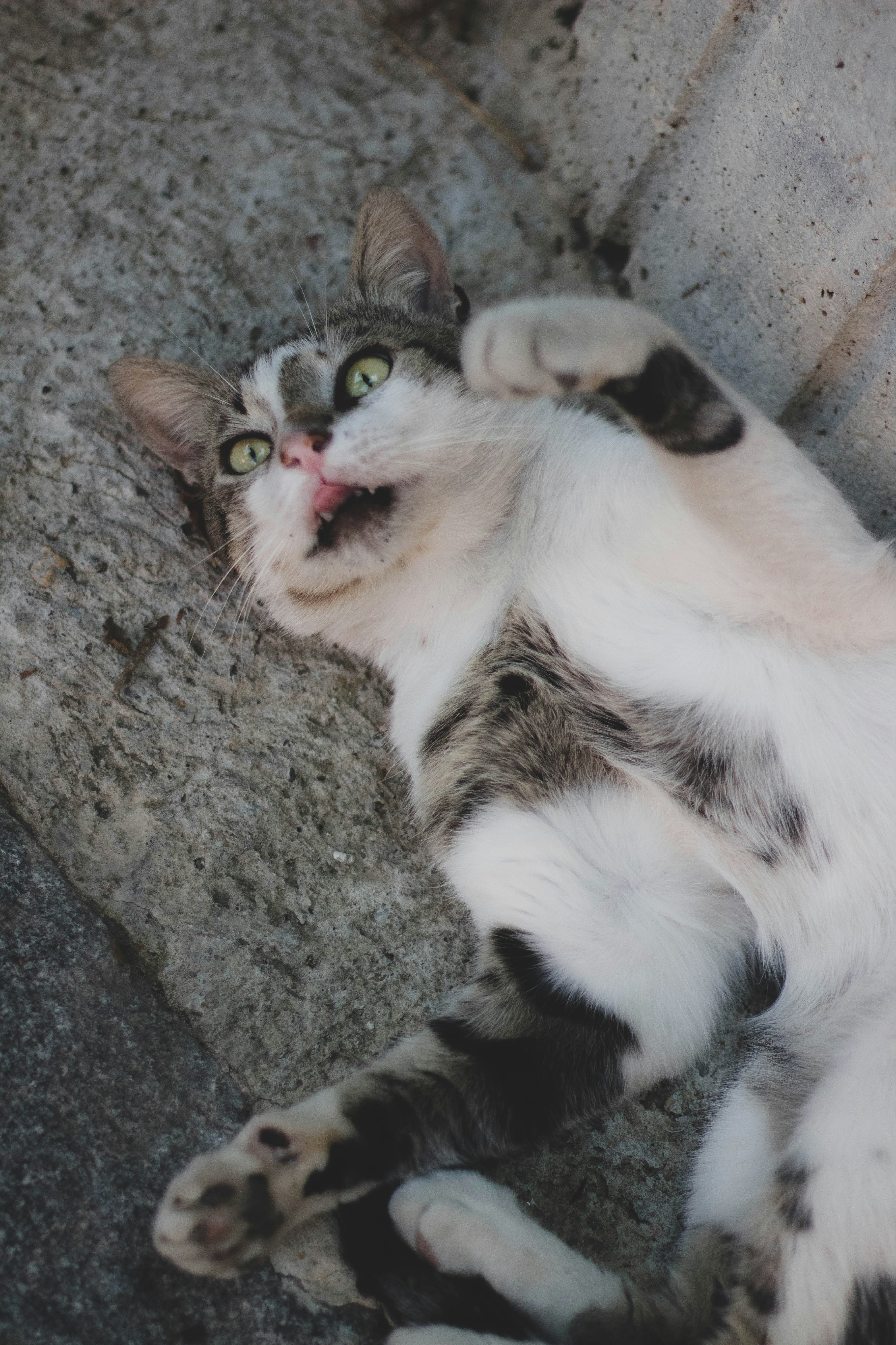 Photo by mari_oleacu