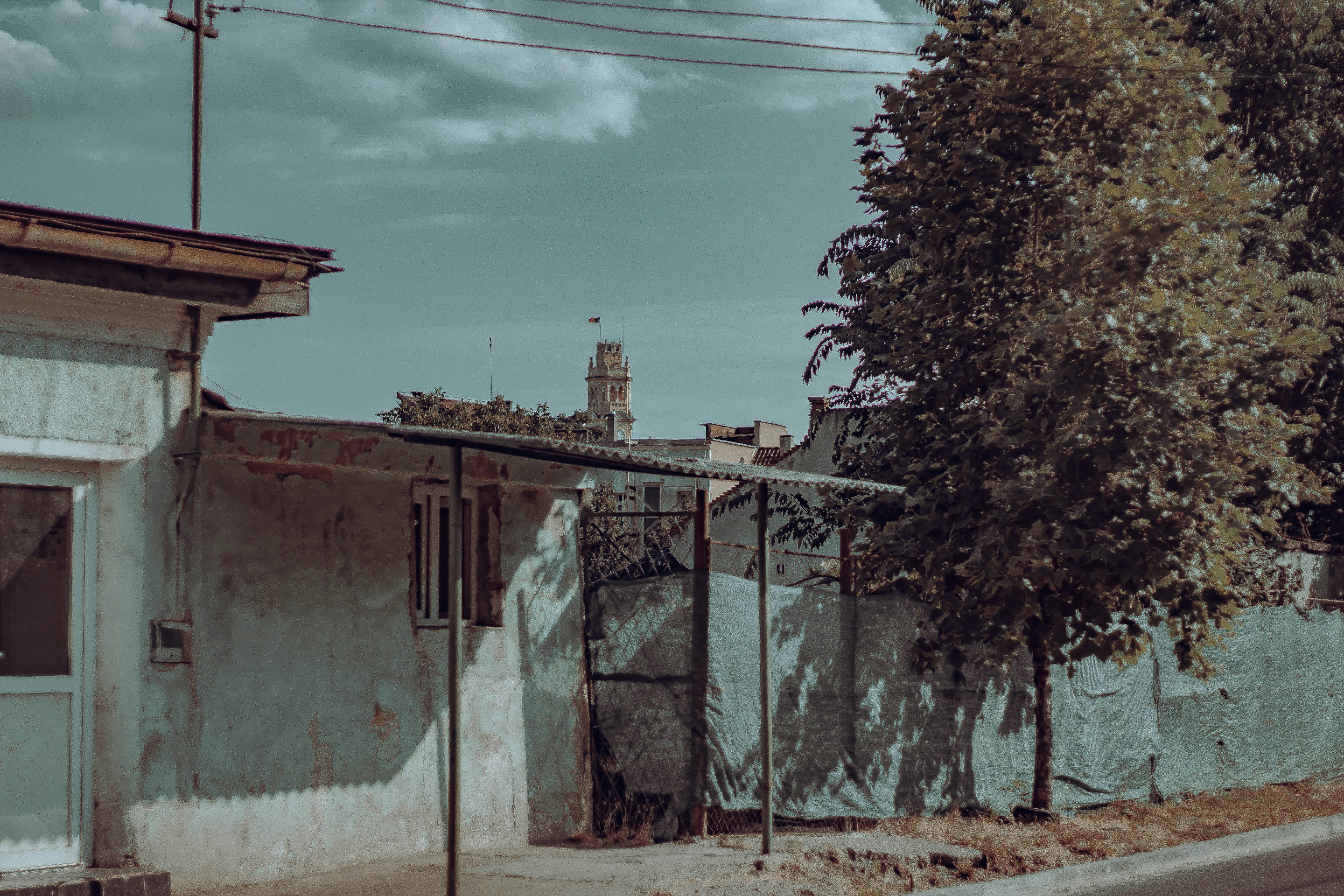 Photo by mari_oleacu