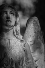 A serene black and white photo of a softly glowing angel wing silhouette against a gentle grey background.