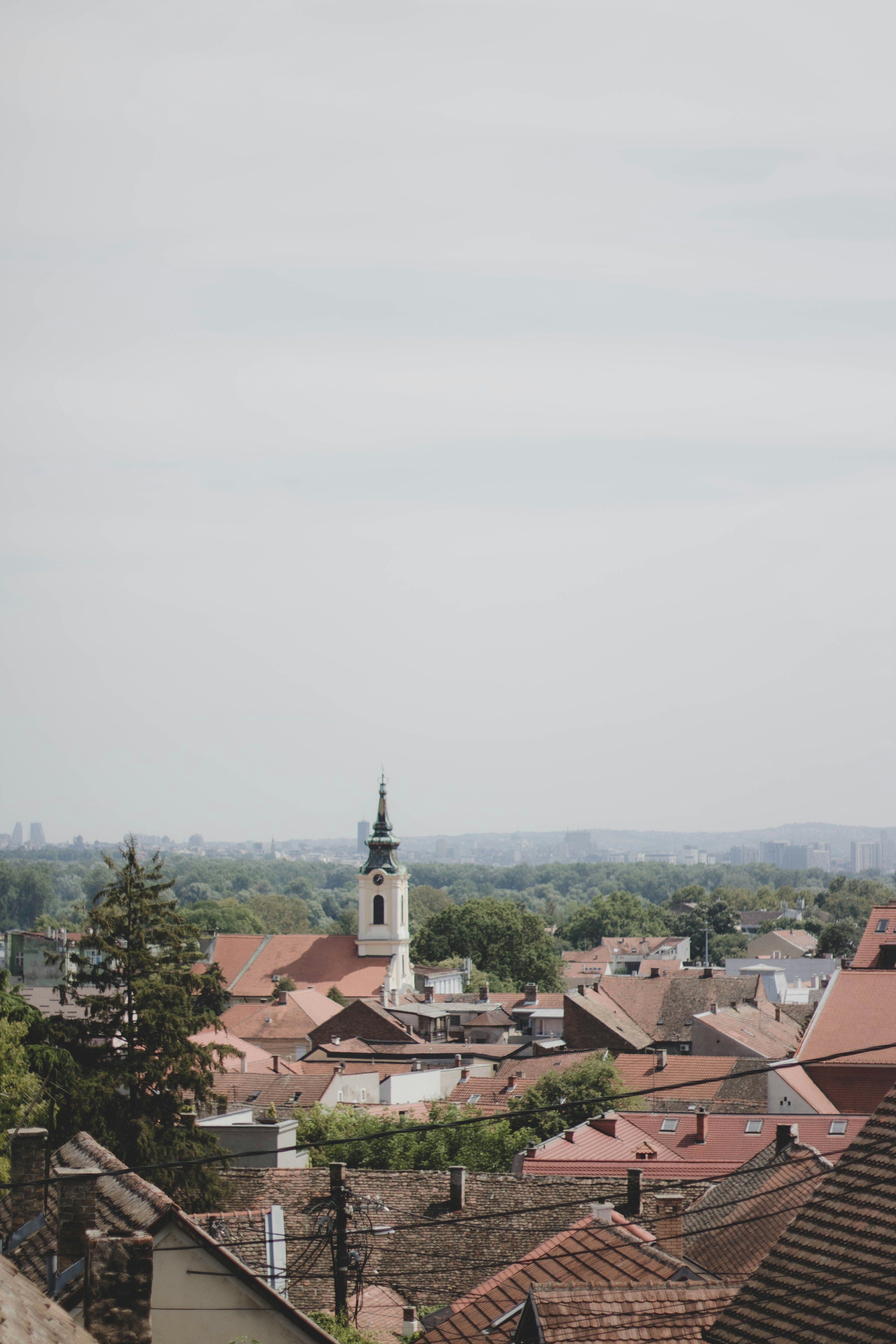 Photo by mari_oleacu