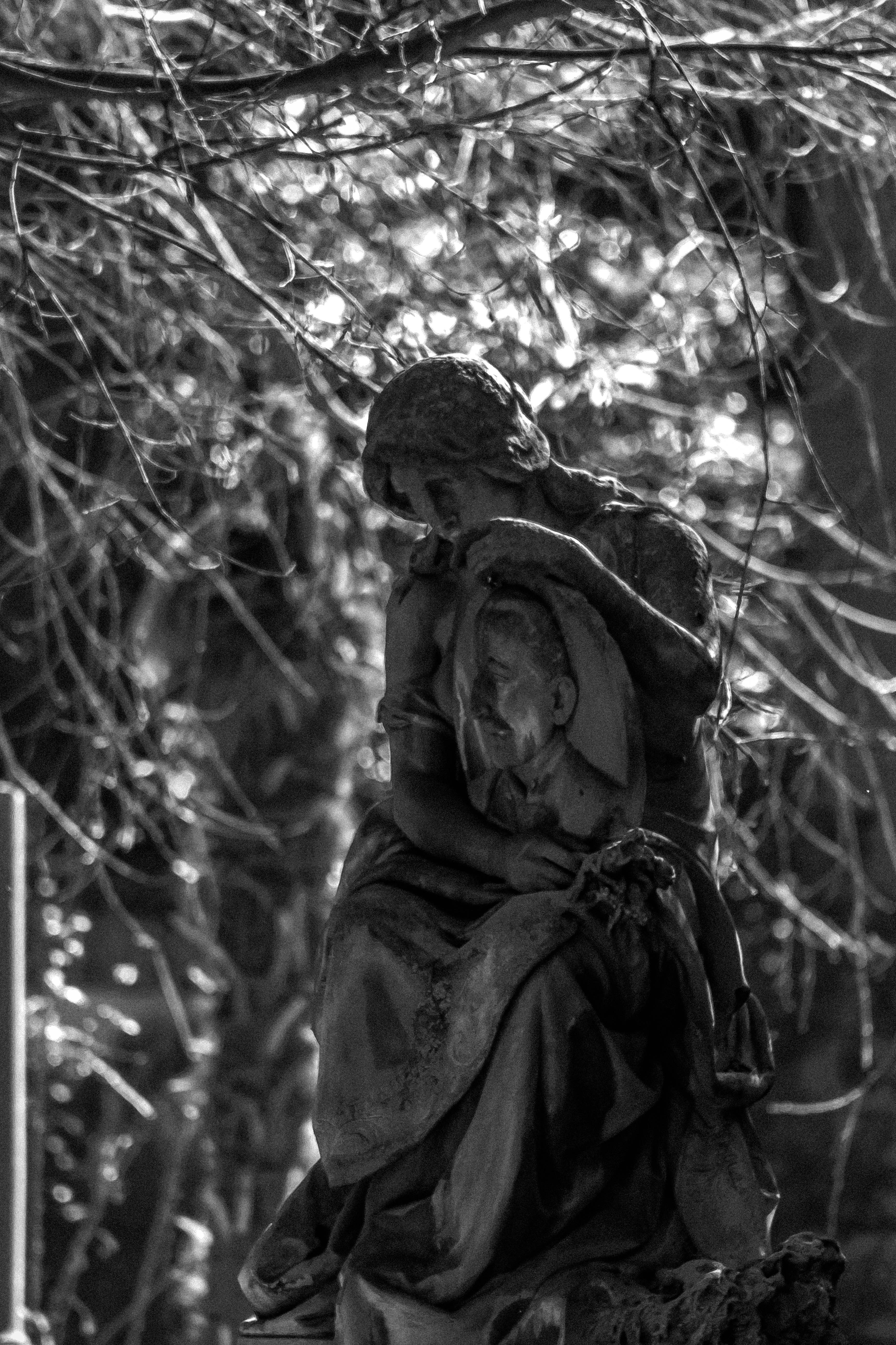 Photo by mari_oleacu