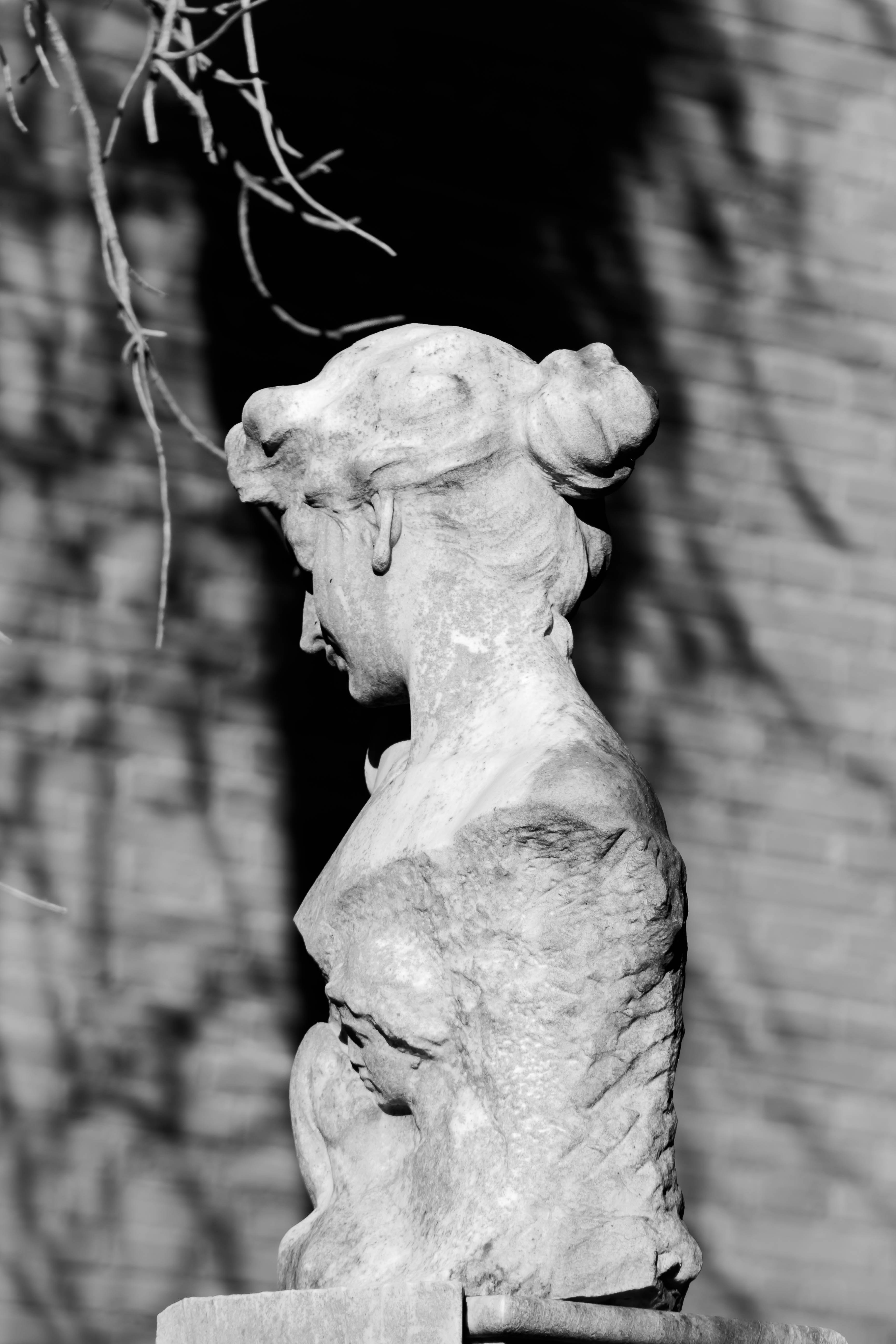 Photo by mari_oleacu