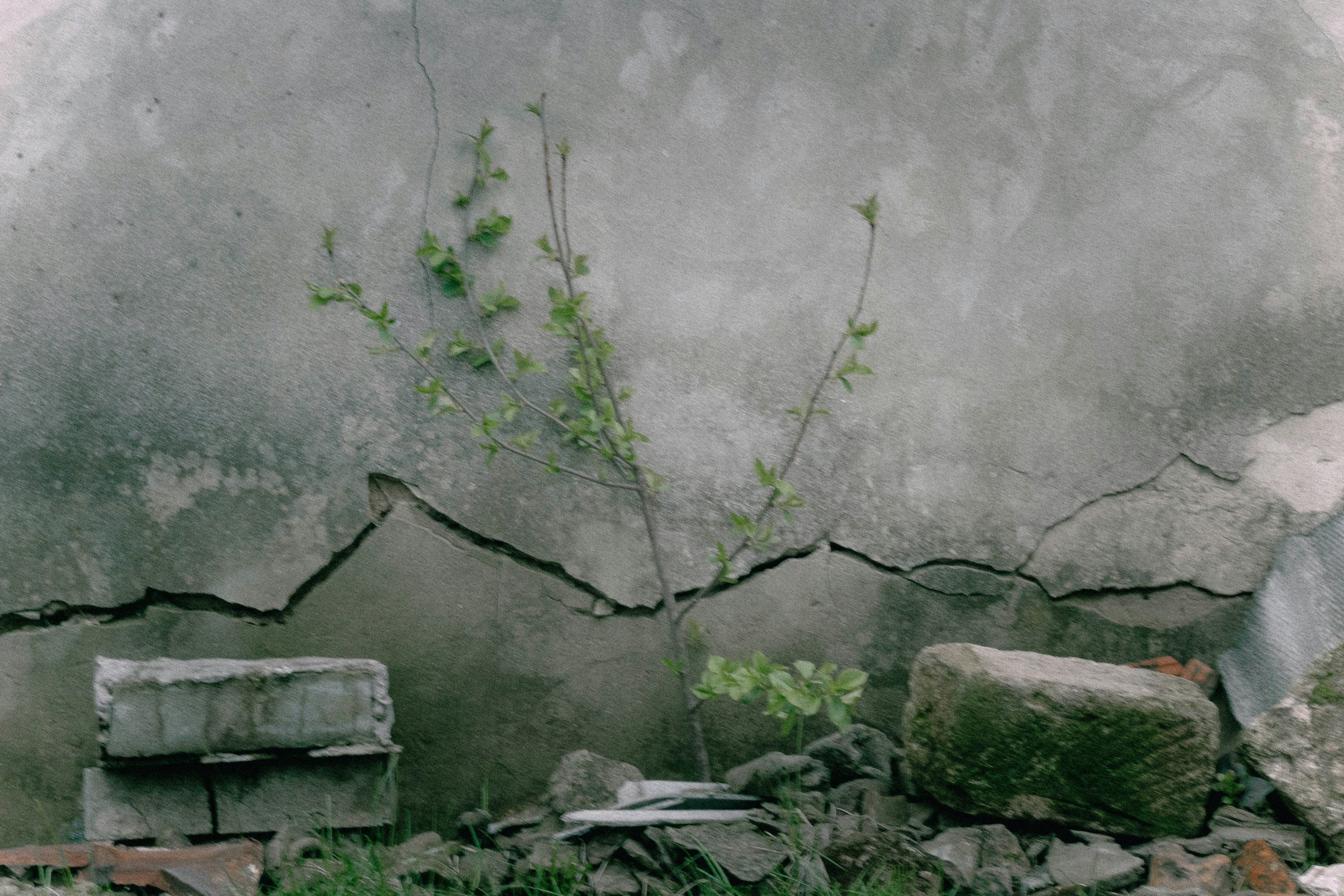 Photo by mari_oleacu