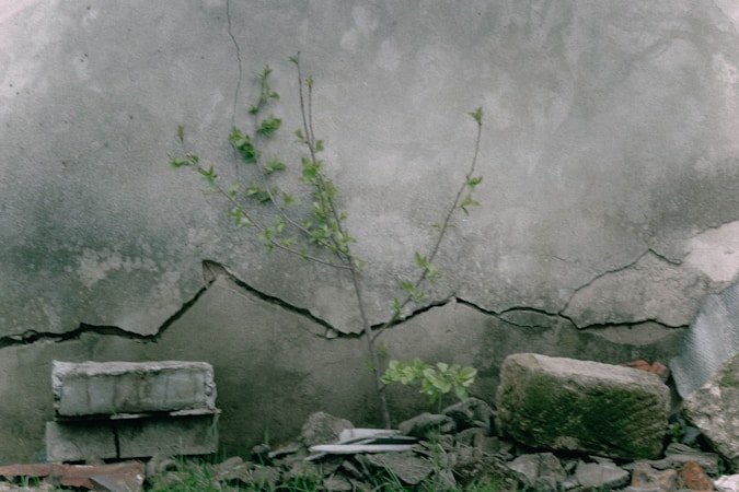 Understanding Climate Resilience: The Crestwater Strategy