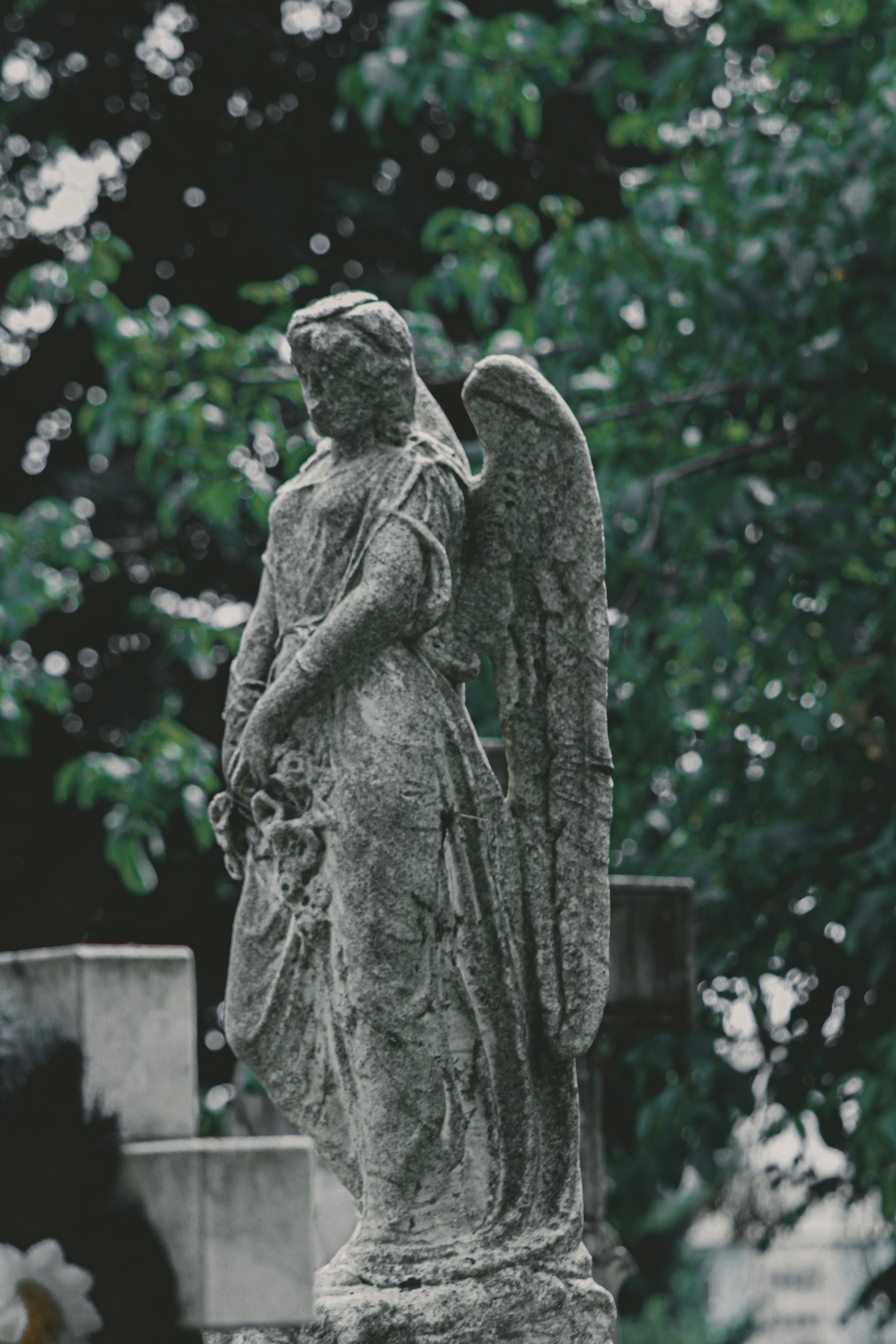 Photo by mari_oleacu