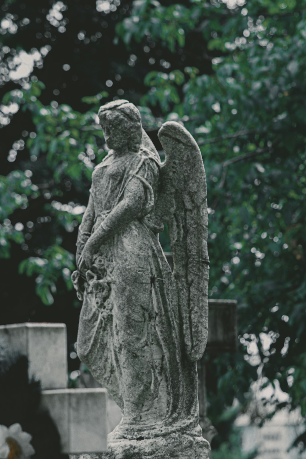 a statue of an angel is in a cemetery