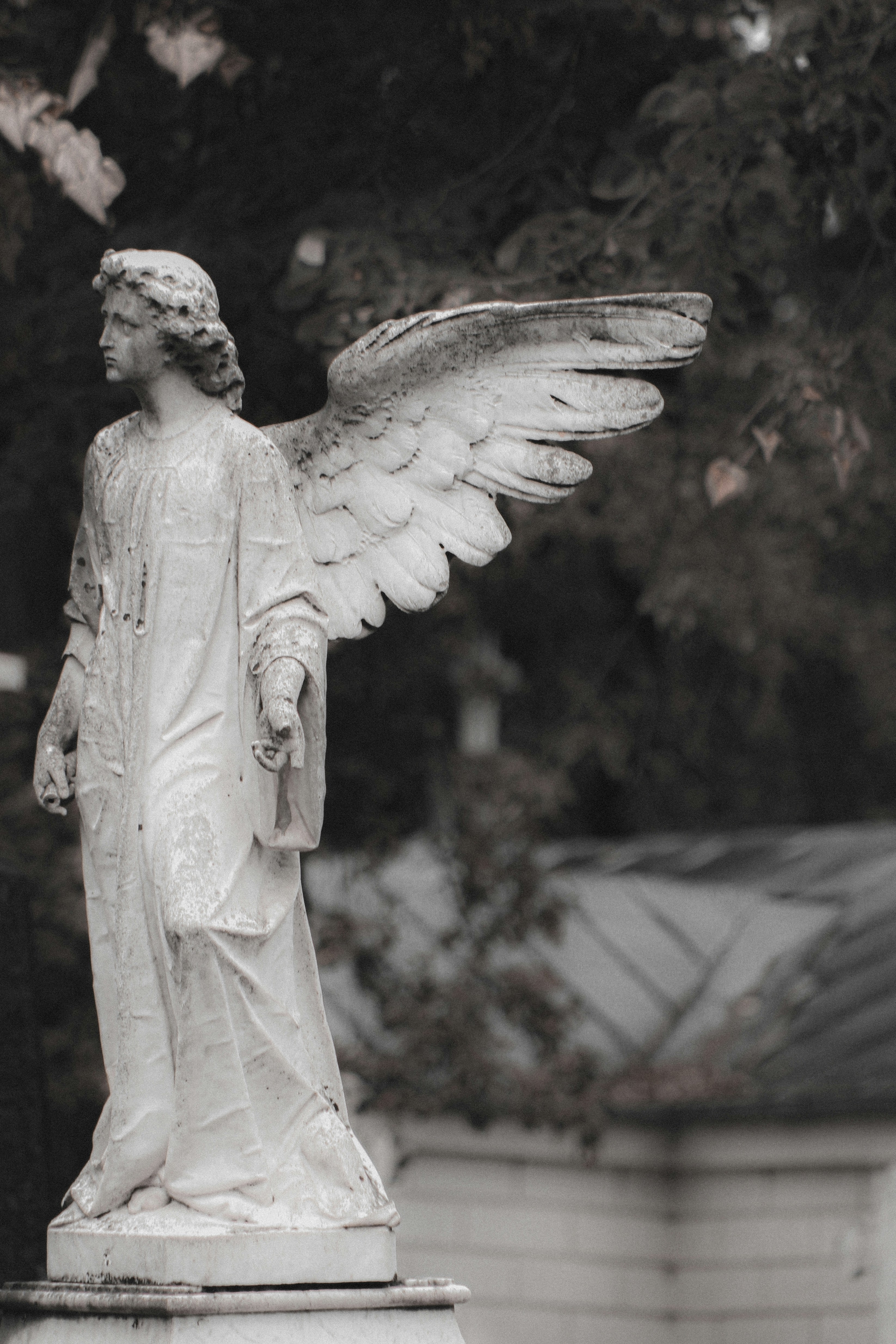 Photo by mari_oleacu