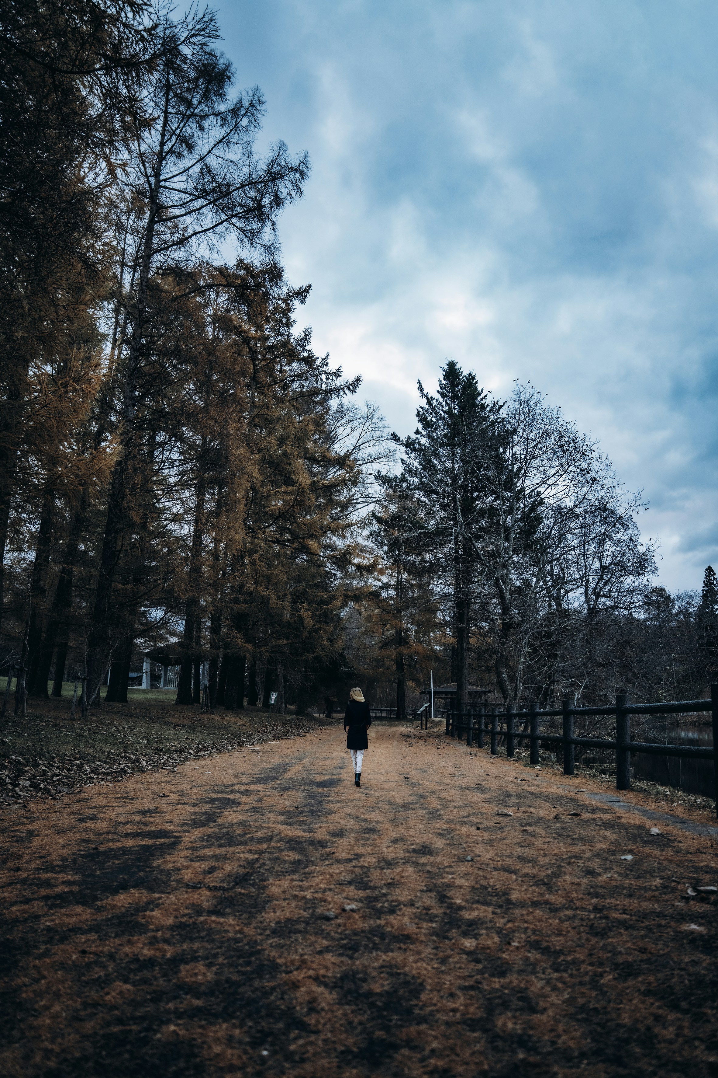 Photo by terra_gallery