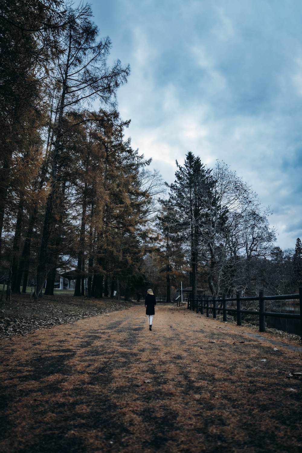 a person walking down a dirt road in the woods