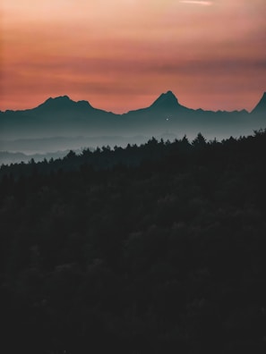 Sunset over the lush Andean forest with distant mountains in Malalcahuello.