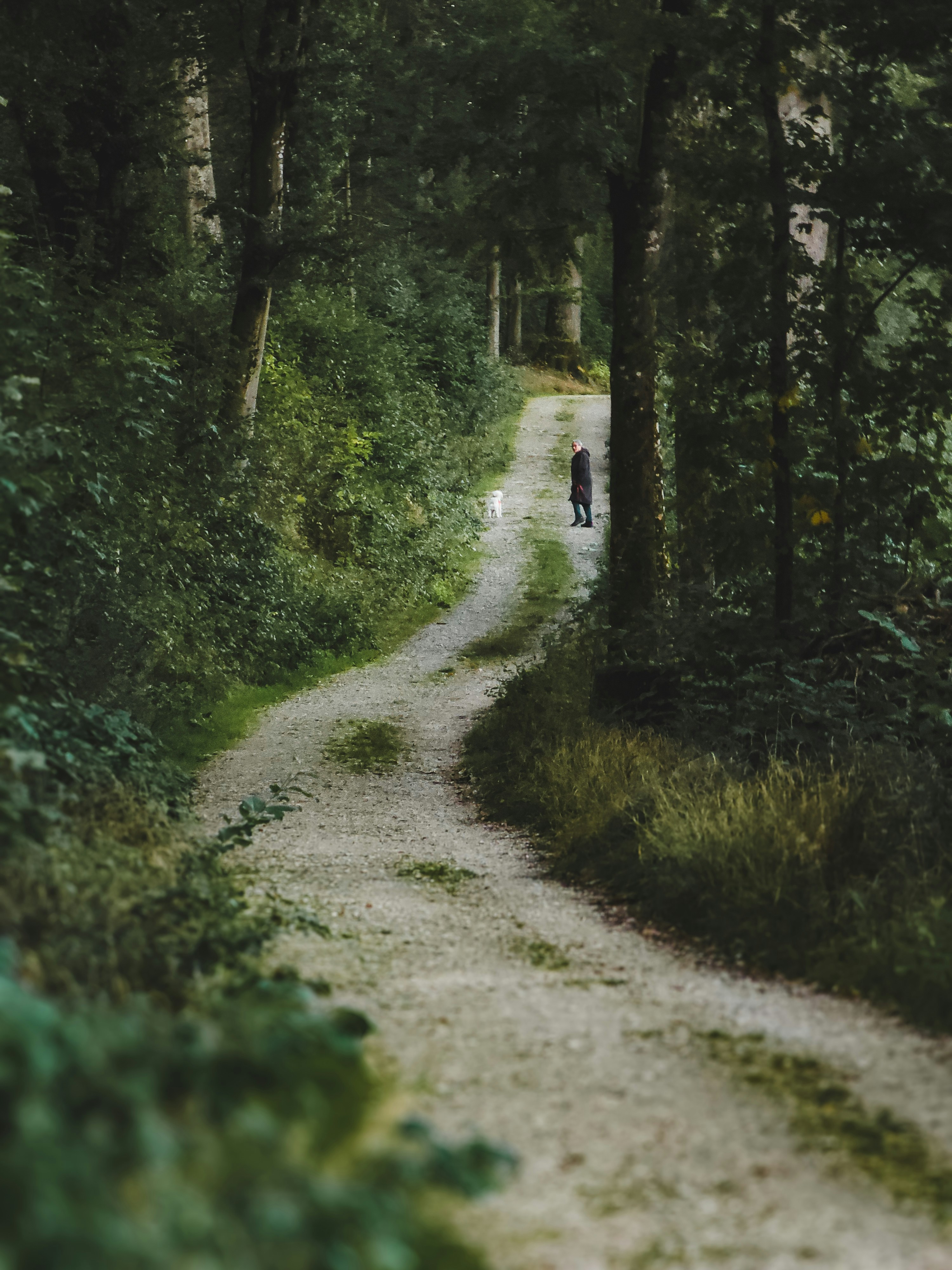 Photo by miguel_ind0