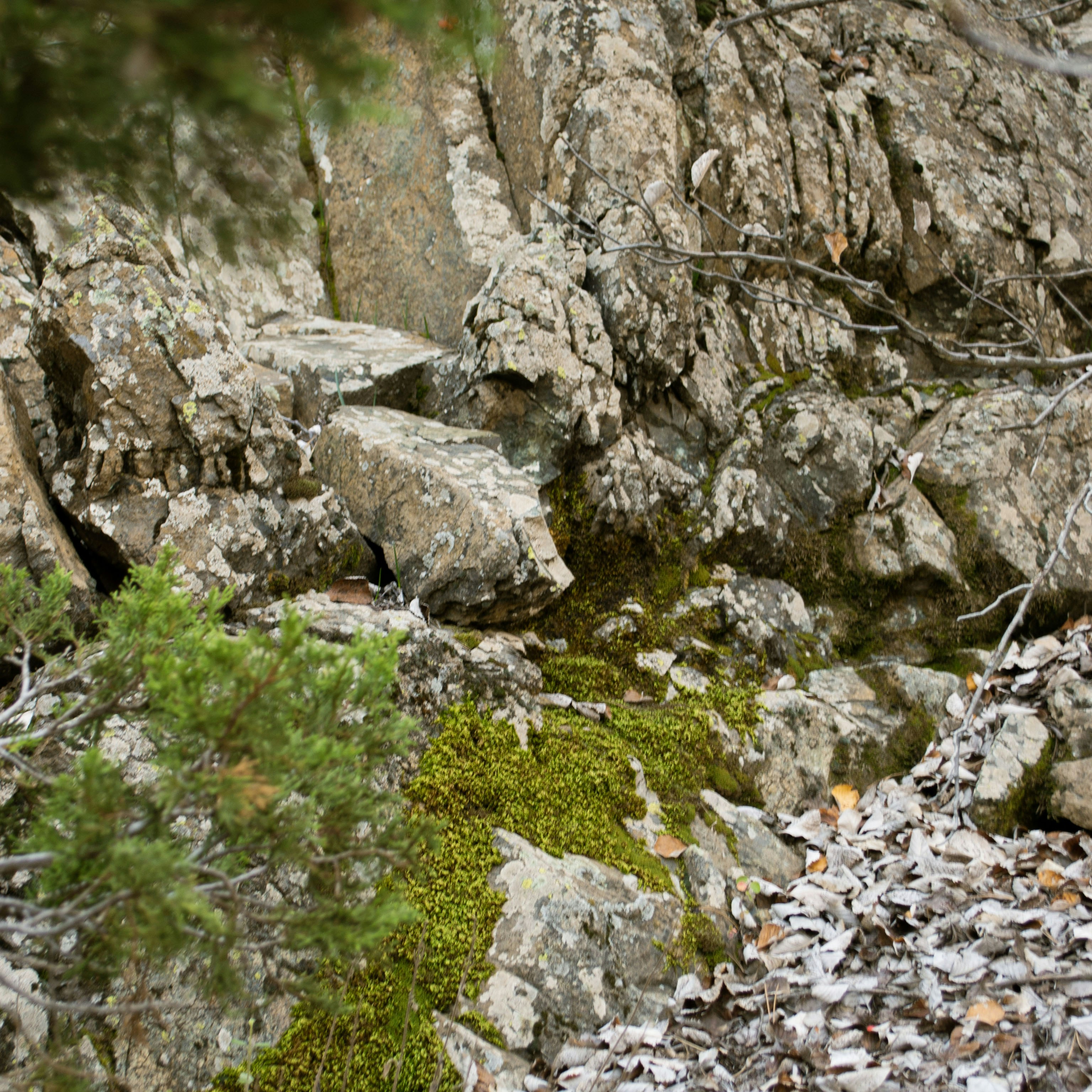 Photo by reggie_tmin