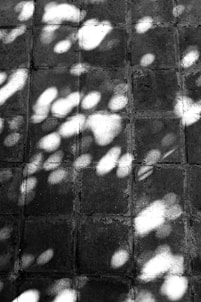 a black and white photo of the shadow of a tree