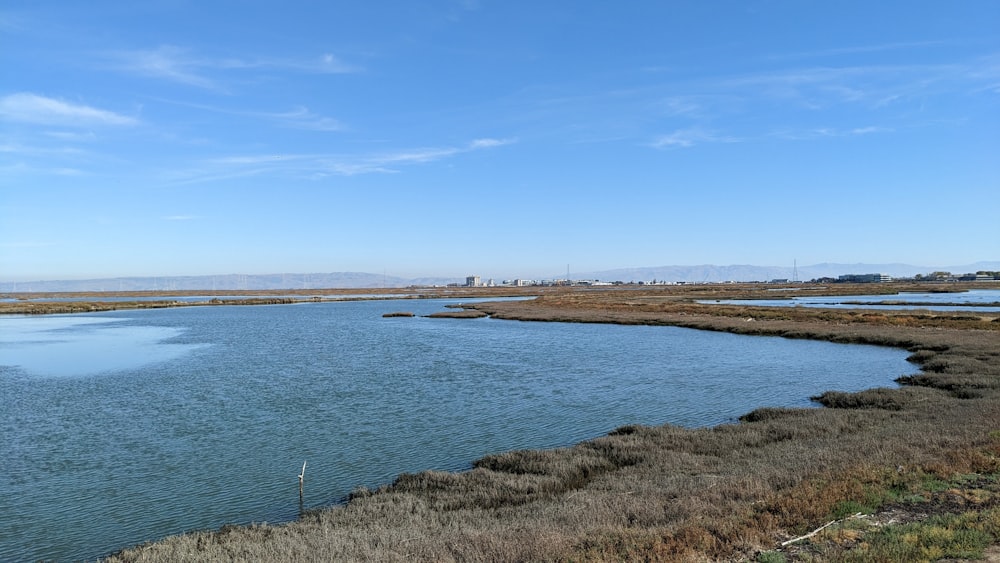 a large body of water surrounded by dry grass