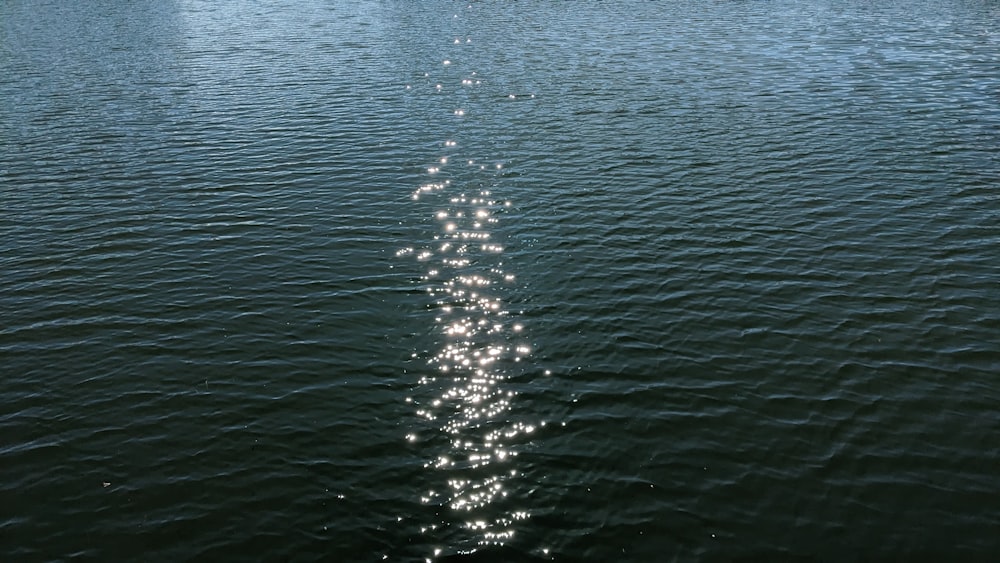 a long line of water with trees in the background